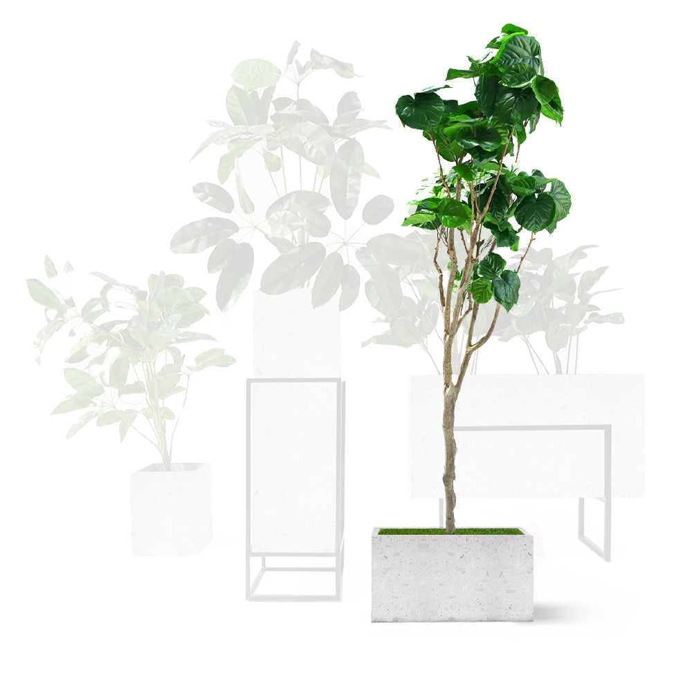 Terrazzo White Planter Box 306-N012 - Planter Boxes - ebarza Furniture UAE | Shop Modern Furniture in Abu Dhabi & Dubai - مفروشات ايبازرا في الامارات | تسوق اثاث عصري وديكورات مميزة في دبي وابوظبي
