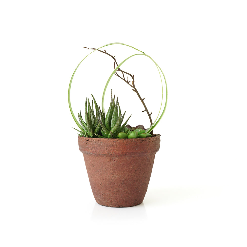 Handmade Decorative Artificial Plant  N36620-PZ005 -  Plants - ebarza Furniture UAE | Shop Modern Furniture in Abu Dhabi & Dubai - مفروشات ايبازرا في الامارات | تسوق اثاث عصري وديكورات مميزة في دبي وابوظبي