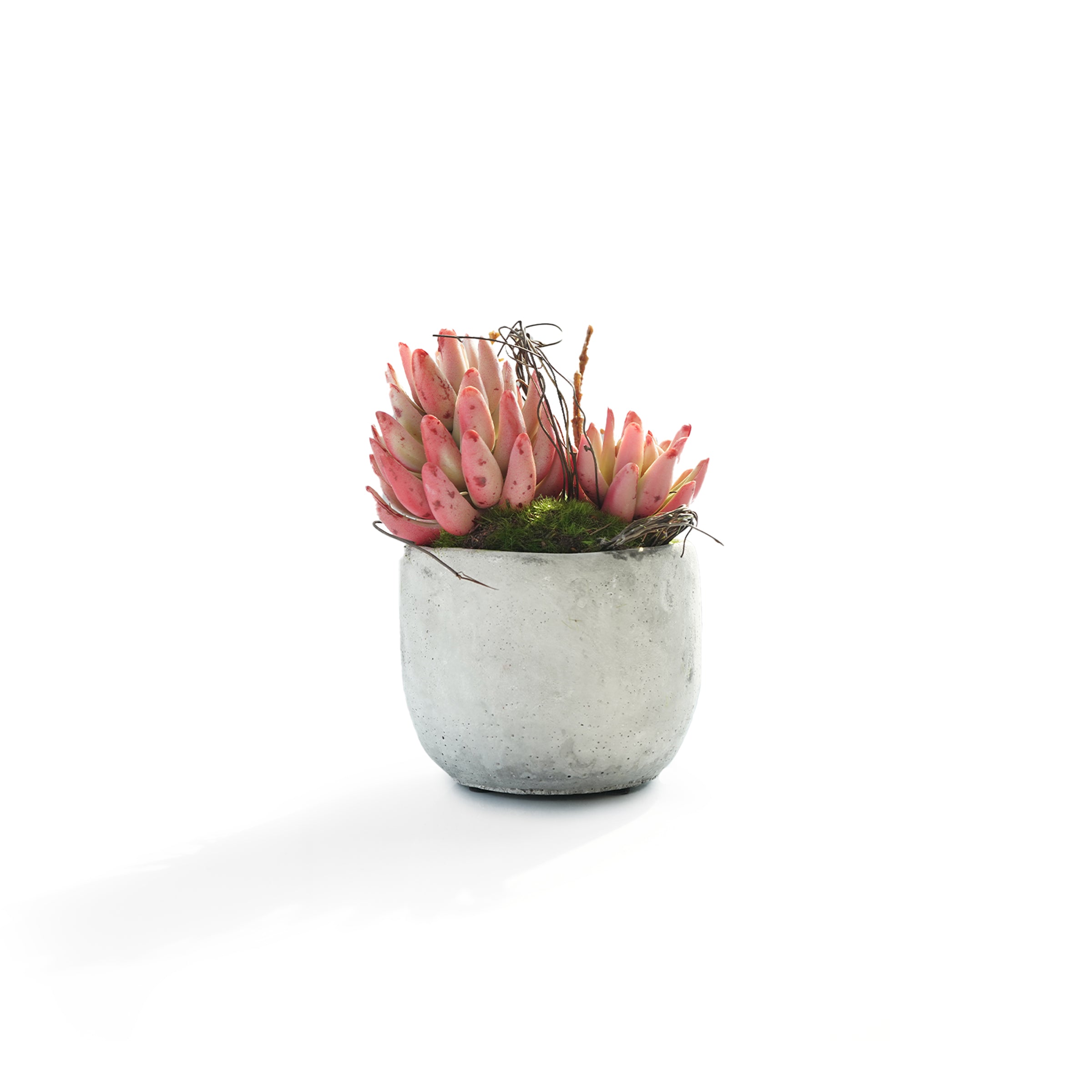 Handmade Decorative Artificial Plant N36520-PZ047-OR - Plants - ebarza Furniture UAE | Shop Modern Furniture in Abu Dhabi & Dubai - مفروشات ايبازرا في الامارات | تسوق اثاث عصري وديكورات مميزة في دبي وابوظبي