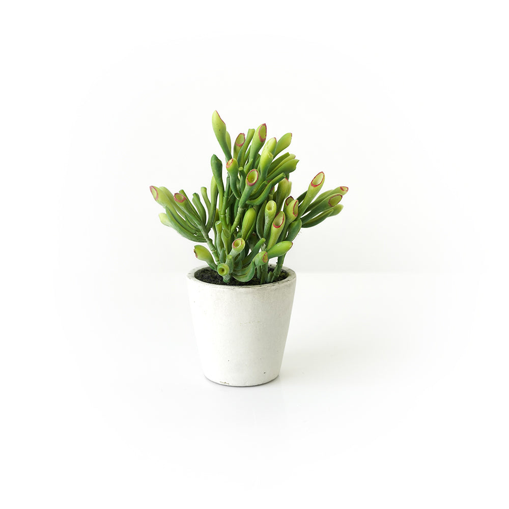 Handmade Decorative Artificial Potted Succulent N35020-PZ172 - Plants - ebarza Furniture UAE | Shop Modern Furniture in Abu Dhabi & Dubai - مفروشات ايبازرا في الامارات | تسوق اثاث عصري وديكورات مميزة في دبي وابوظبي