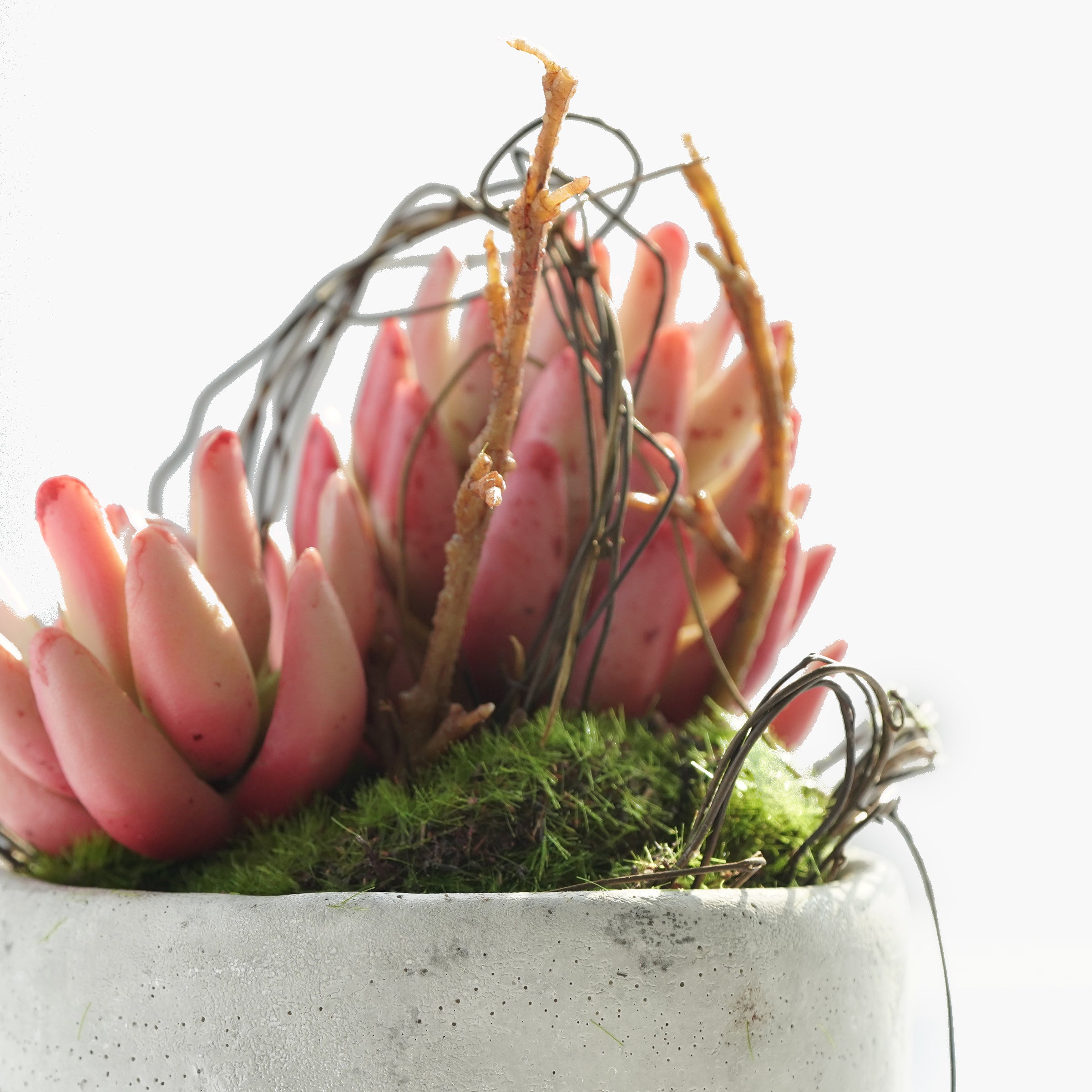 Handmade Decorative Artificial Plant N36520-PZ047-OR - Plants - ebarza Furniture UAE | Shop Modern Furniture in Abu Dhabi & Dubai - مفروشات ايبازرا في الامارات | تسوق اثاث عصري وديكورات مميزة في دبي وابوظبي