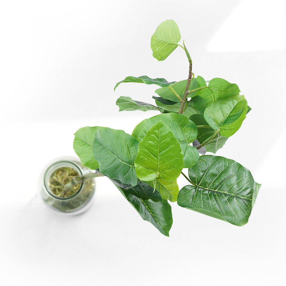 Handmade Decorative Artificial Plant With Garss  N36020-BJ186 -  Plants - ebarza Furniture UAE | Shop Modern Furniture in Abu Dhabi & Dubai - مفروشات ايبازرا في الامارات | تسوق اثاث عصري وديكورات مميزة في دبي وابوظبي