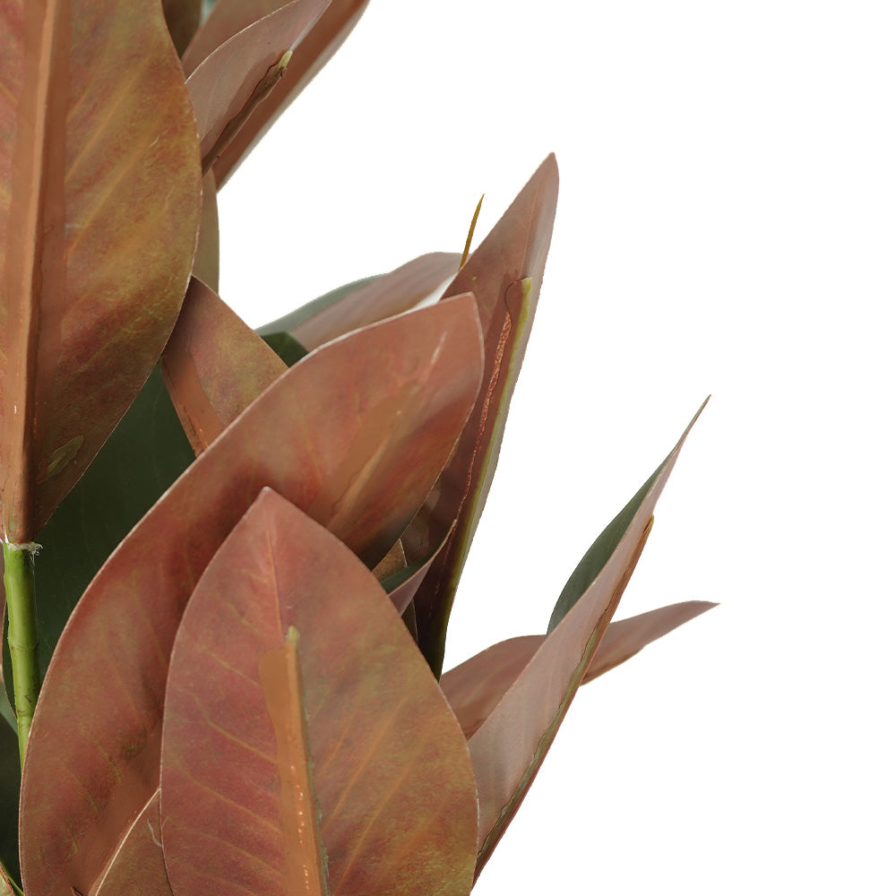 Handmade Decorative Artificial Potted Magnolia Plant N37220-PZ003 - Plants - ebarza Furniture UAE | Shop Modern Furniture in Abu Dhabi & Dubai - مفروشات ايبازرا في الامارات | تسوق اثاث عصري وديكورات مميزة في دبي وابوظبي