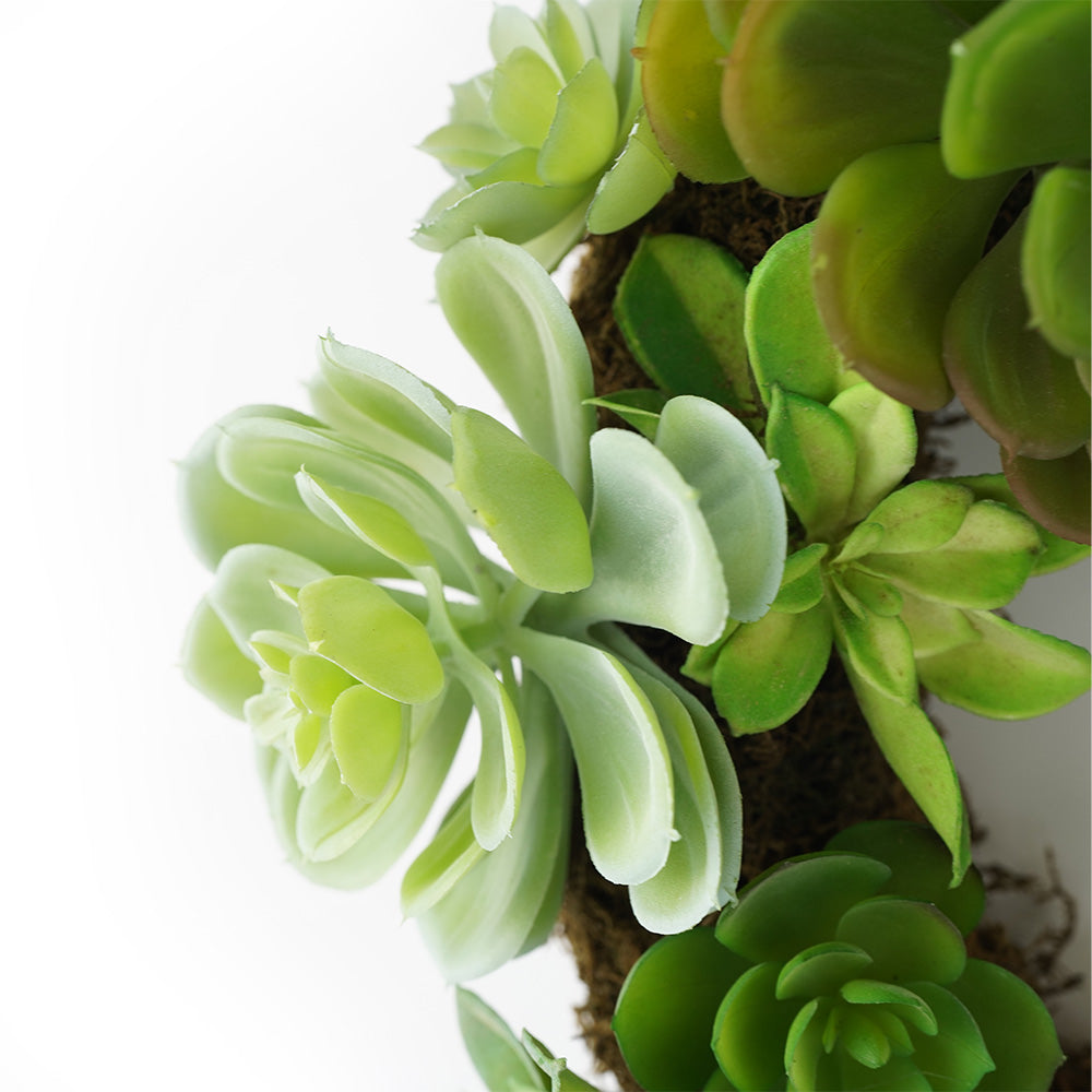 Handmade Decorative Artificial Wreath With Succulent N36020-XG106 - Plants - ebarza Furniture UAE | Shop Modern Furniture in Abu Dhabi & Dubai - مفروشات ايبازرا في الامارات | تسوق اثاث عصري وديكورات مميزة في دبي وابوظبي