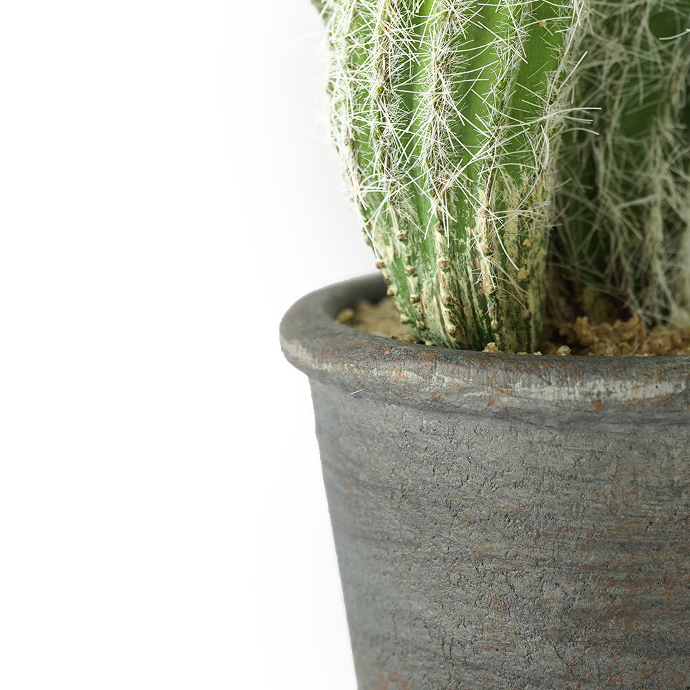 Handmade Decorative Artificial Potted Cactus N35020-SM062 -  Plants - ebarza Furniture UAE | Shop Modern Furniture in Abu Dhabi & Dubai - مفروشات ايبازرا في الامارات | تسوق اثاث عصري وديكورات مميزة في دبي وابوظبي