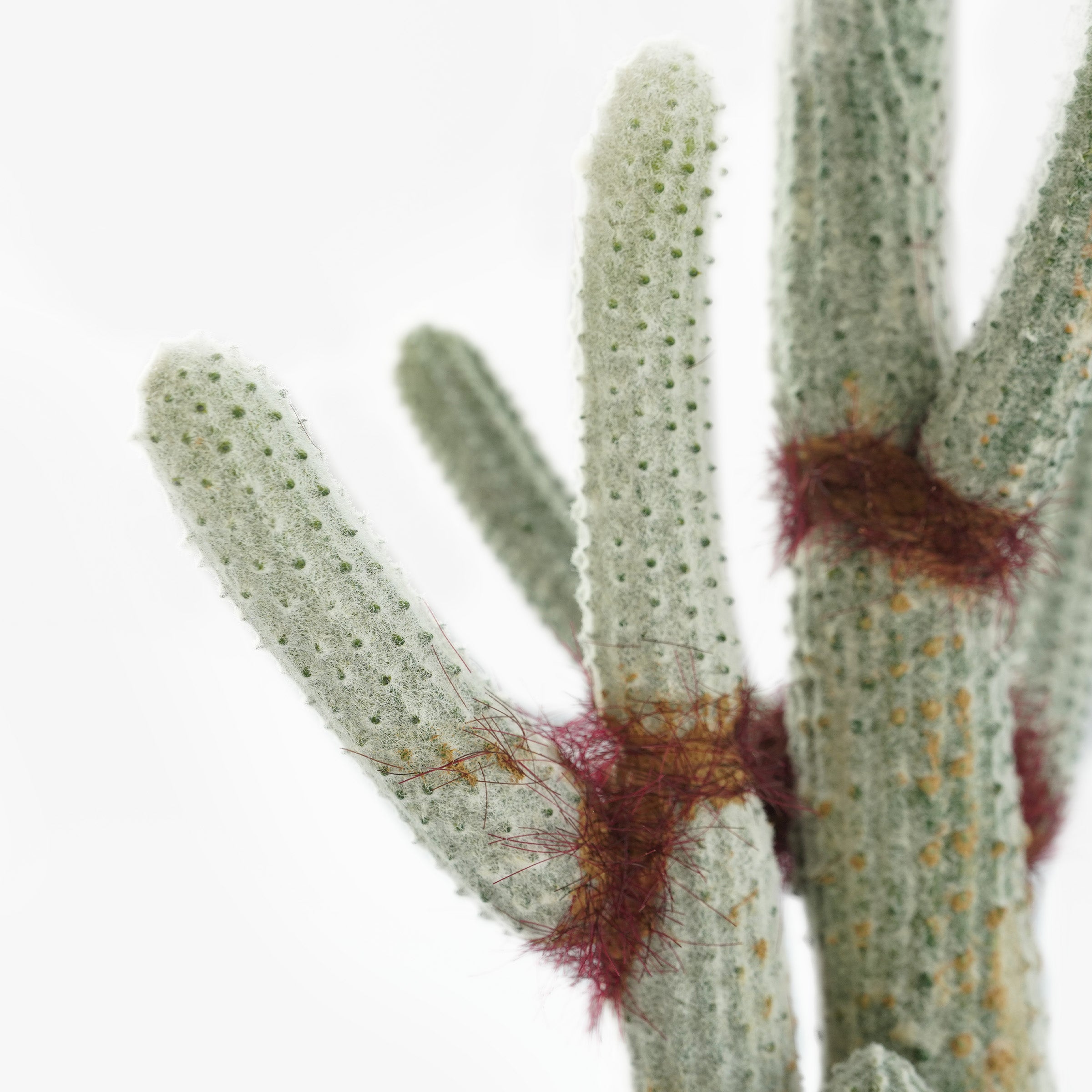 Handmade Decorative Artificial Potted Cactus N35020-SM121 - Plants - ebarza Furniture UAE | Shop Modern Furniture in Abu Dhabi & Dubai - مفروشات ايبازرا في الامارات | تسوق اثاث عصري وديكورات مميزة في دبي وابوظبي