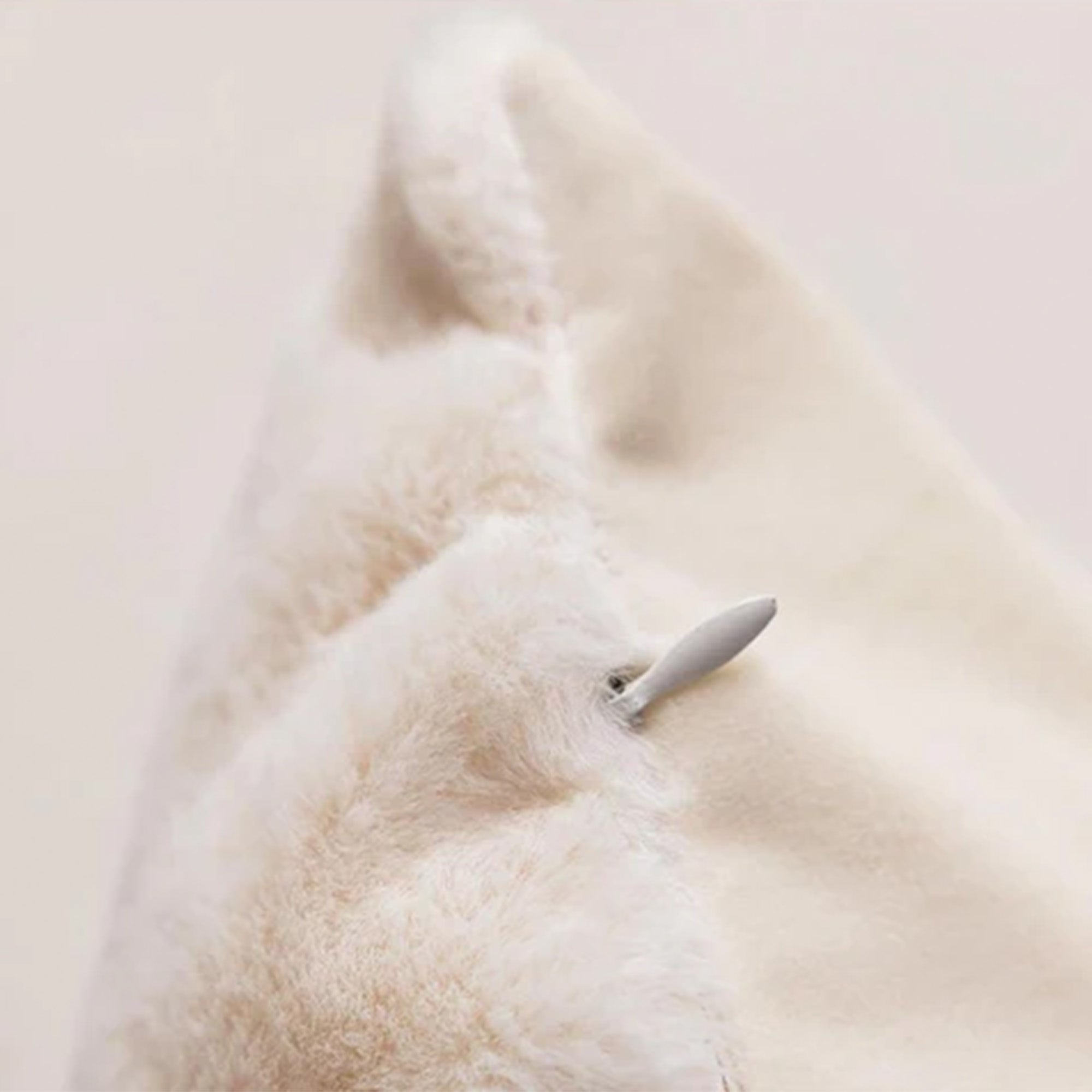 45x45 Masu Cushion KD2298 -  Cushions - ebarza Furniture UAE | Shop Modern Furniture in Abu Dhabi & Dubai - مفروشات ايبازرا في الامارات | تسوق اثاث عصري وديكورات مميزة في دبي وابوظبي