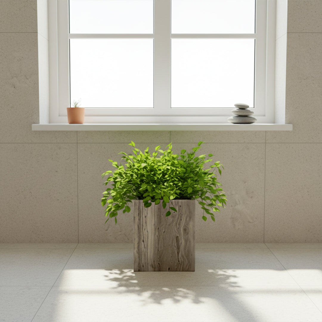 BRUNO Garbage Bin / Planter Box SBK894-8 - Bathroom Accessories - ebarza Furniture UAE | Shop Modern Furniture in Abu Dhabi & Dubai - مفروشات ايبازرا في الامارات | تسوق اثاث عصري وديكورات مميزة في دبي وابوظبي