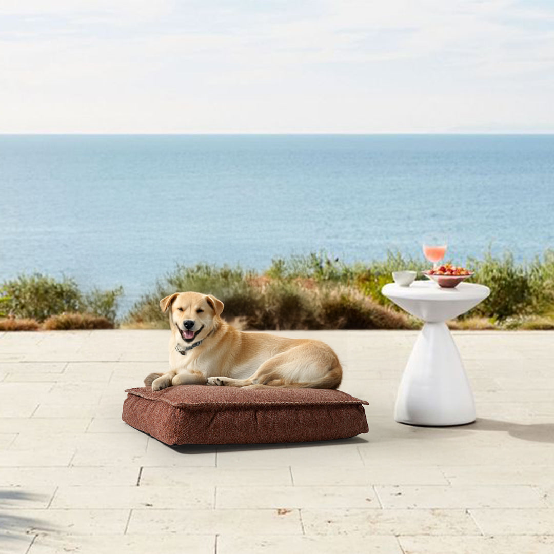 Pets Bed - Large 457-Orange - Poufs - ebarza Furniture UAE | Shop Modern Furniture in Abu Dhabi & Dubai - مفروشات ايبازرا في الامارات | تسوق اثاث عصري وديكورات مميزة في دبي وابوظبي