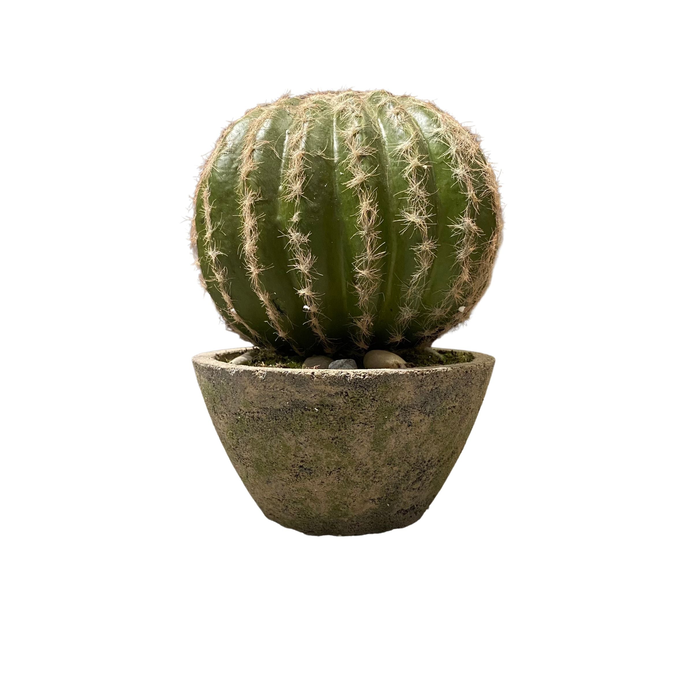 Handmade Decorative Artificial Potted Cactus N36520-PZ031 - Plants - ebarza Furniture UAE | Shop Modern Furniture in Abu Dhabi & Dubai - مفروشات ايبازرا في الامارات | تسوق اثاث عصري وديكورات مميزة في دبي وابوظبي