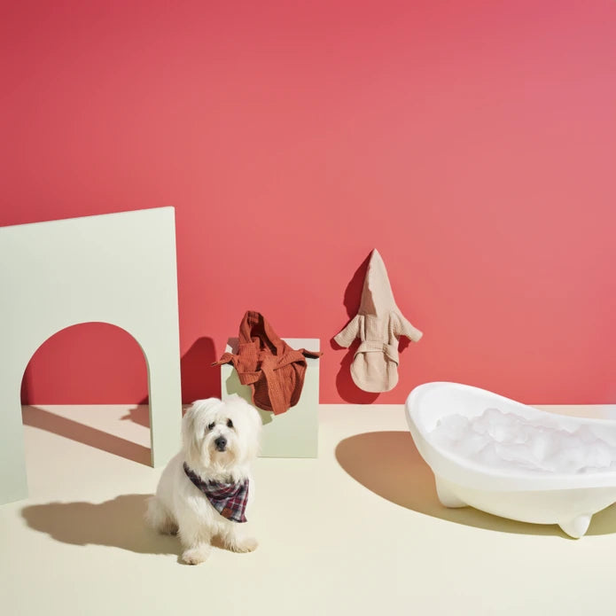 Karaca Home X Paw Oliver Pet Bathrobe Beige 200.22.11.0143 - Bathrobe Sets - ebarza Furniture UAE | Shop Modern Furniture in Abu Dhabi & Dubai - مفروشات ايبازرا في الامارات | تسوق اثاث عصري وديكورات مميزة في دبي وابوظبي