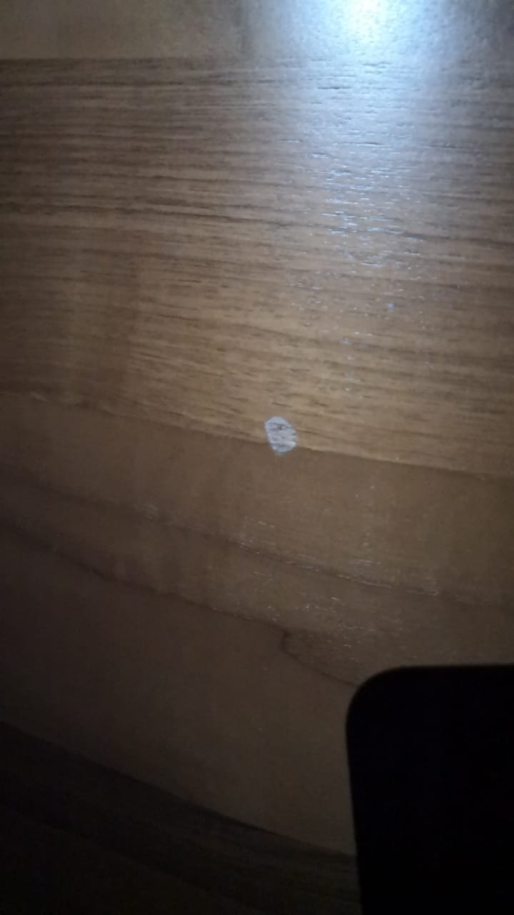 AS IS Charla Plus Two Seater Sofa Charla-Cosmic11 -  DISPLAY ITEM - ebarza Furniture UAE | Shop Modern Furniture in Abu Dhabi & Dubai - مفروشات ايبازرا في الامارات | تسوق اثاث عصري وديكورات مميزة في دبي وابوظبي