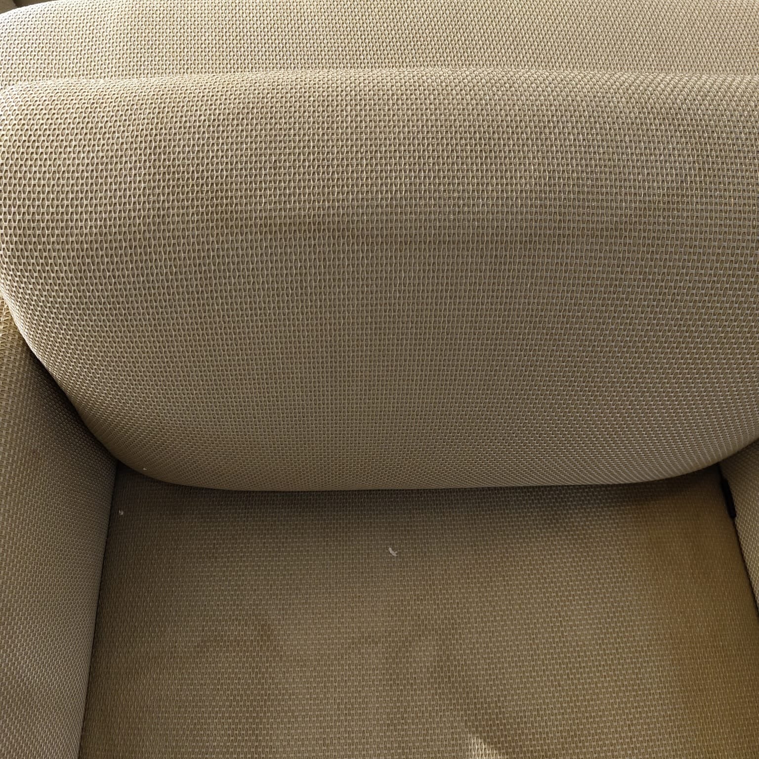 Display Item - Vega Armchair BERVEG001YAS - DISPLAY ITEM - ebarza Furniture UAE | Shop Modern Furniture in Abu Dhabi & Dubai - مفروشات ايبازرا في الامارات | تسوق اثاث عصري وديكورات مميزة في دبي وابوظبي