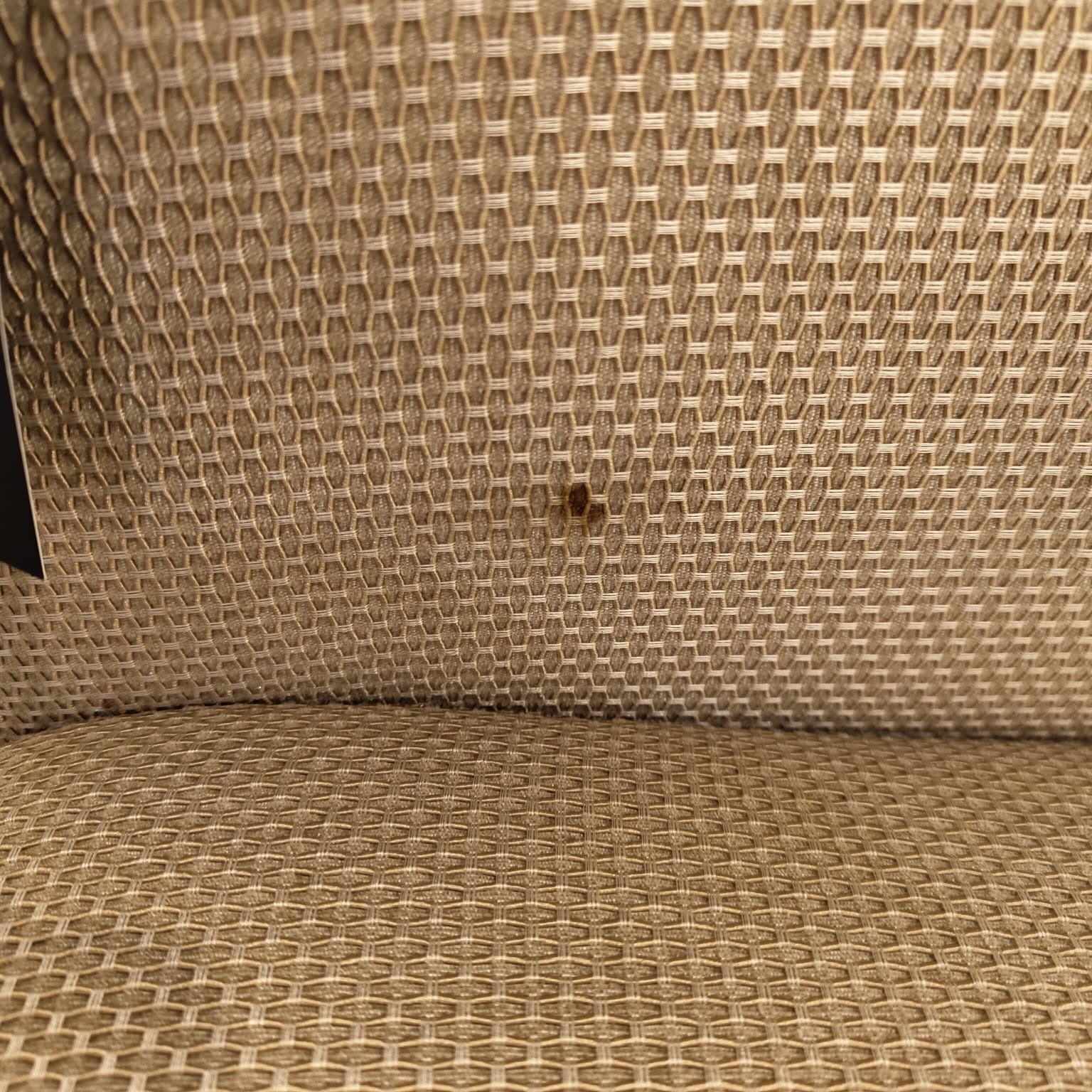 Display Item - Vega Armchair BERVEG001YAS - DISPLAY ITEM - ebarza Furniture UAE | Shop Modern Furniture in Abu Dhabi & Dubai - مفروشات ايبازرا في الامارات | تسوق اثاث عصري وديكورات مميزة في دبي وابوظبي