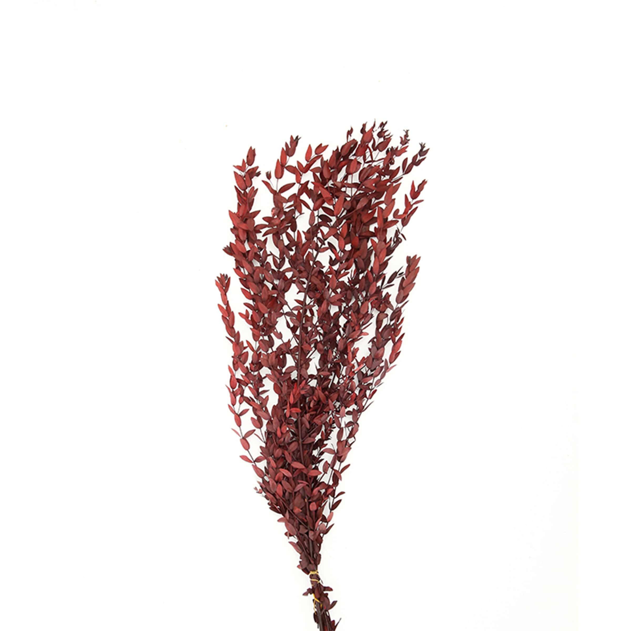 Dried Flowers A Fd-Jh2102A - Plants - ebarza Furniture UAE | Shop Modern Furniture in Abu Dhabi & Dubai - مفروشات ايبازرا في الامارات | تسوق اثاث عصري وديكورات مميزة في دبي وابوظبي