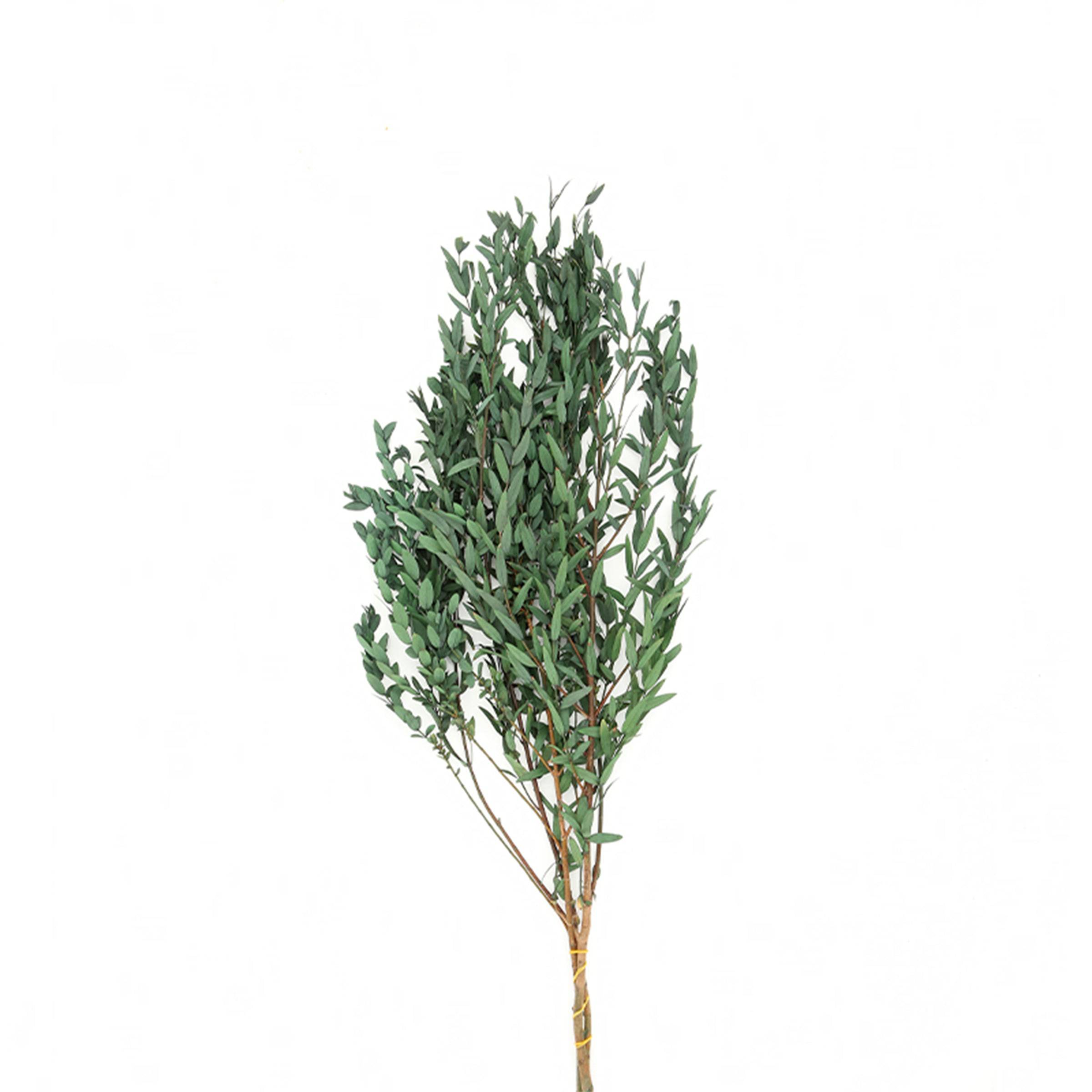 Dried Flowers-B Fd-Jh2102B - Plants - ebarza Furniture UAE | Shop Modern Furniture in Abu Dhabi & Dubai - مفروشات ايبازرا في الامارات | تسوق اثاث عصري وديكورات مميزة في دبي وابوظبي