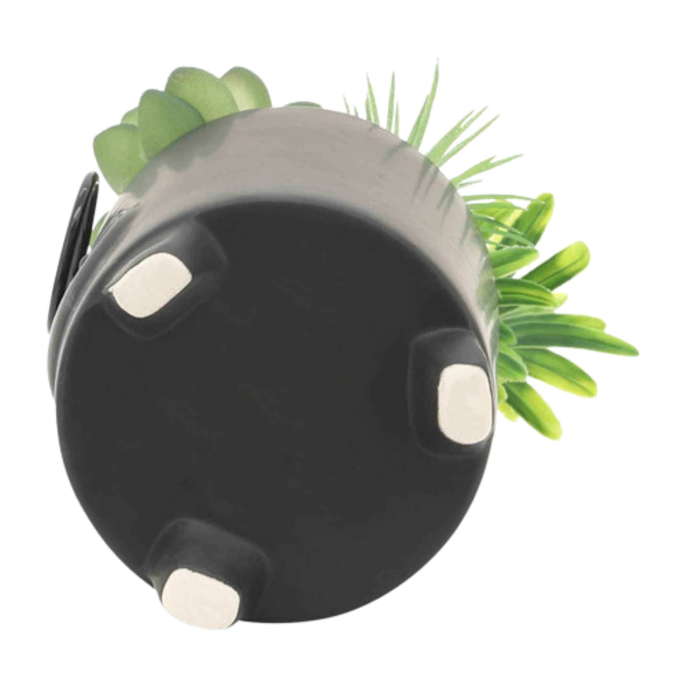 Face Ceramic Planter With Artificial Plants 8.89 Cm - Black 16972-02 - Planter Boxes - ebarza Furniture UAE | Shop Modern Furniture in Abu Dhabi & Dubai - مفروشات ايبازرا في الامارات | تسوق اثاث عصري وديكورات مميزة في دبي وابوظبي