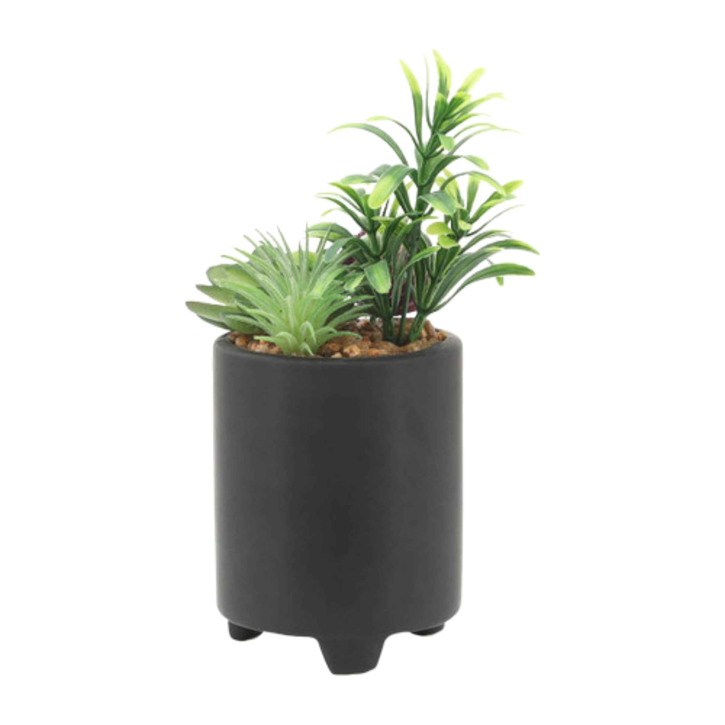 Face Ceramic Planter With Artificial Plants 8.89 Cm - Black 16972-02 - Planter Boxes - ebarza Furniture UAE | Shop Modern Furniture in Abu Dhabi & Dubai - مفروشات ايبازرا في الامارات | تسوق اثاث عصري وديكورات مميزة في دبي وابوظبي