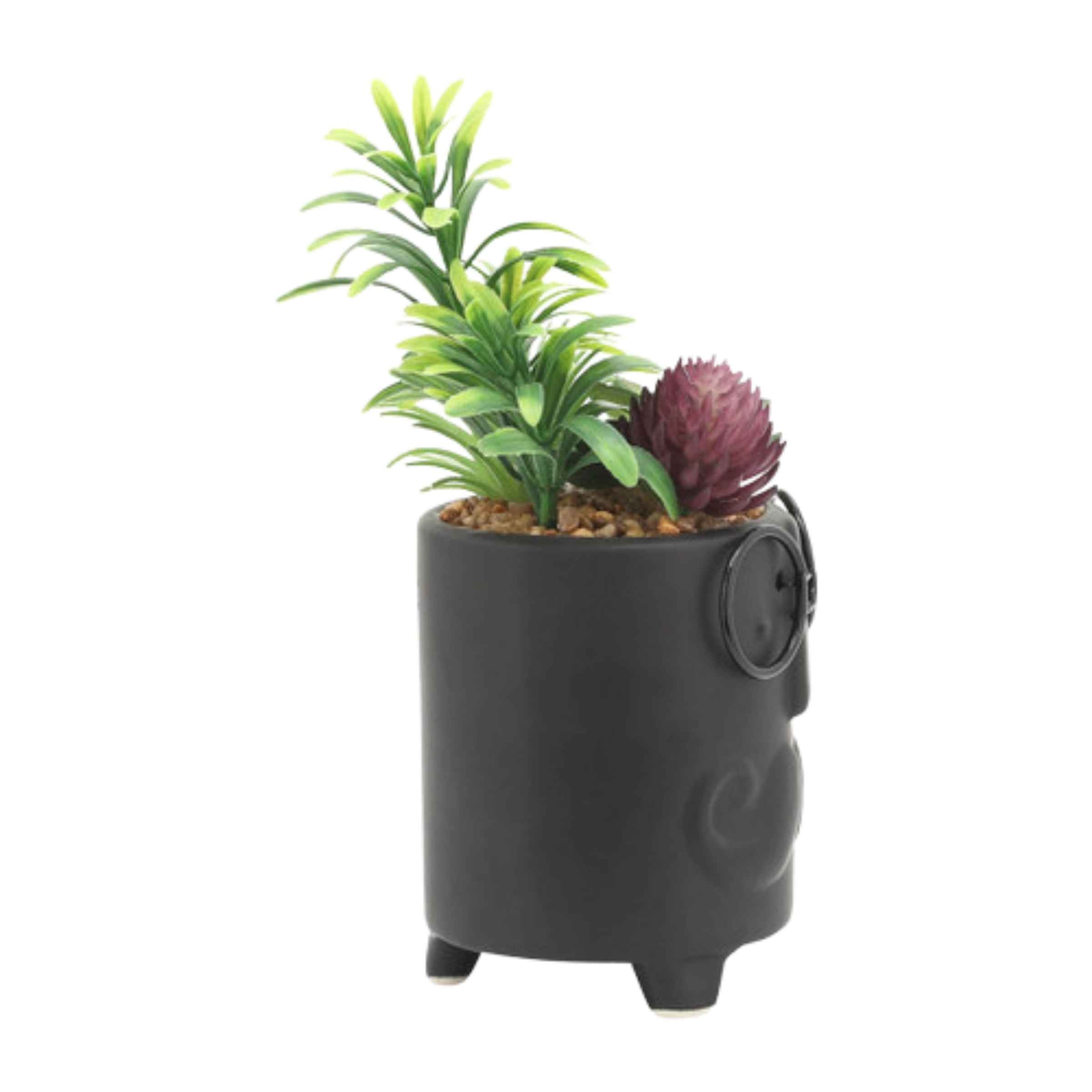 Face Ceramic Planter With Artificial Plants 8.89 Cm - Black 16972-02 - Planter Boxes - ebarza Furniture UAE | Shop Modern Furniture in Abu Dhabi & Dubai - مفروشات ايبازرا في الامارات | تسوق اثاث عصري وديكورات مميزة في دبي وابوظبي