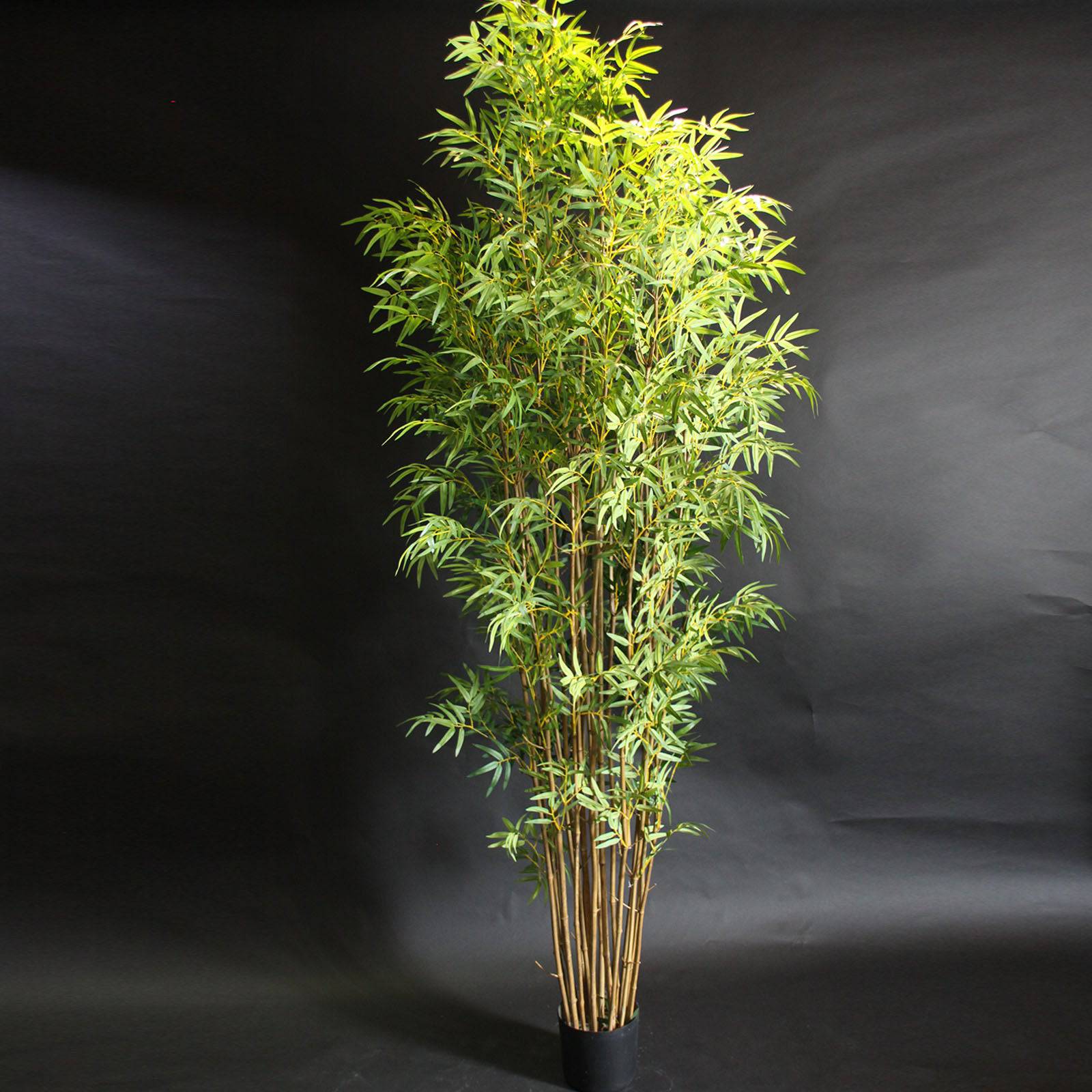 Handmade Decorative Artificial Bamboo Tree Bm-Hc7-4240 - Plants - ebarza Furniture UAE | Shop Modern Furniture in Abu Dhabi & Dubai - مفروشات ايبازرا في الامارات | تسوق اثاث عصري وديكورات مميزة في دبي وابوظبي