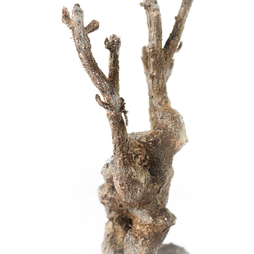 Handmade Decorative Artificial Branches N36020-BJ116 - Plants - ebarza Furniture UAE | Shop Modern Furniture in Abu Dhabi & Dubai - مفروشات ايبازرا في الامارات | تسوق اثاث عصري وديكورات مميزة في دبي وابوظبي