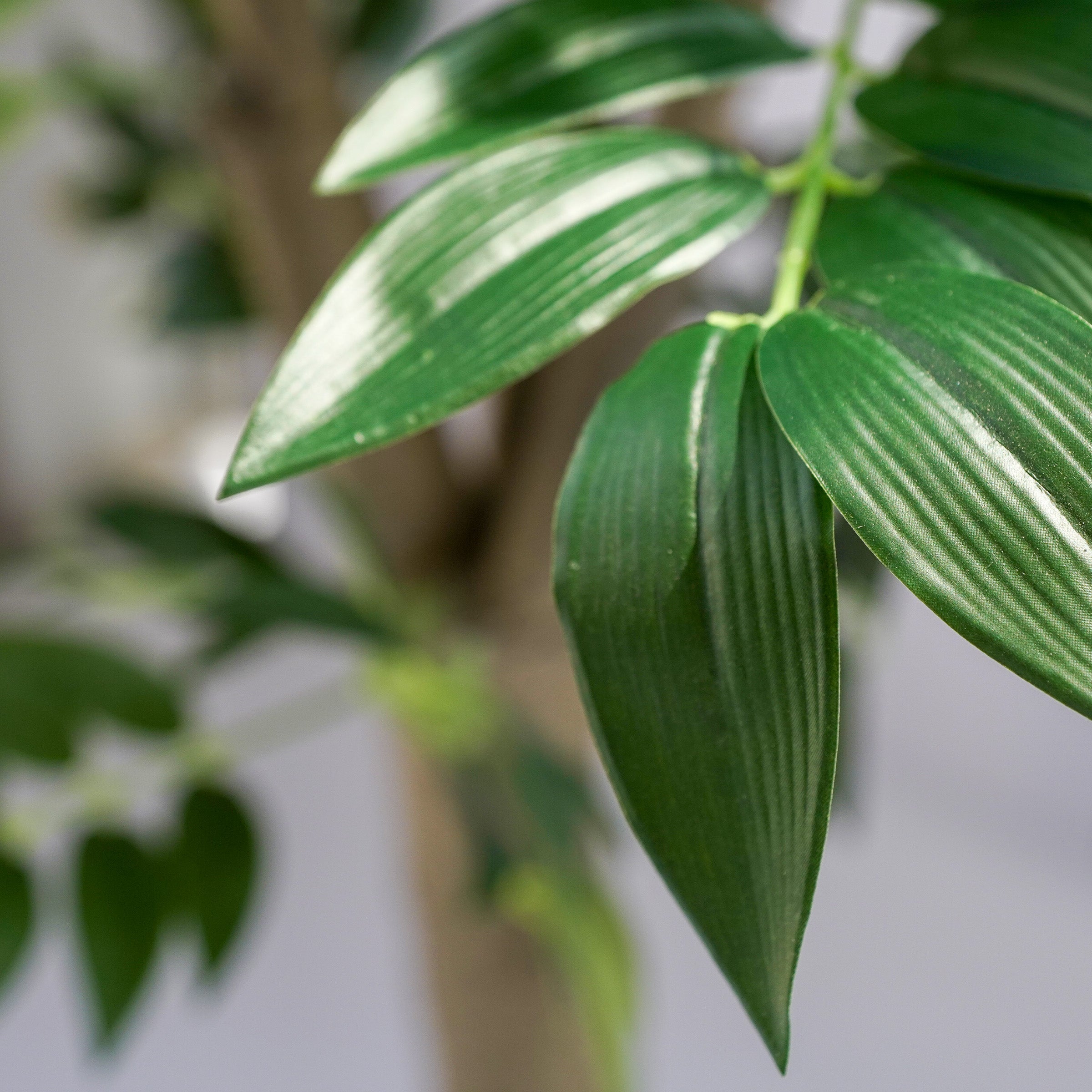 Handmade Decorative Artificial Ficus Tree With Plastic Pot N35120-S095 - Plants - ebarza Furniture UAE | Shop Modern Furniture in Abu Dhabi & Dubai - مفروشات ايبازرا في الامارات | تسوق اثاث عصري وديكورات مميزة في دبي وابوظبي