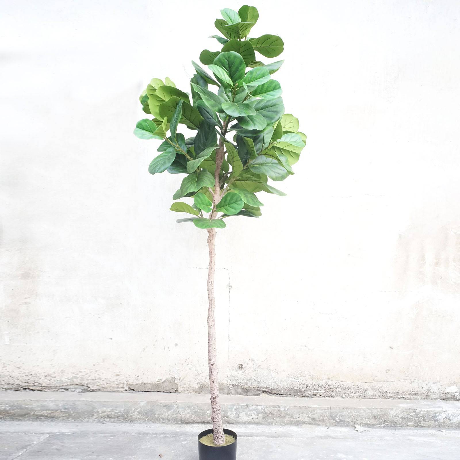 Handmade Decorative Artificial Fiddle Of Fig Tree Fh-04 -  Plants - ebarza Furniture UAE | Shop Modern Furniture in Abu Dhabi & Dubai - مفروشات ايبازرا في الامارات | تسوق اثاث عصري وديكورات مميزة في دبي وابوظبي