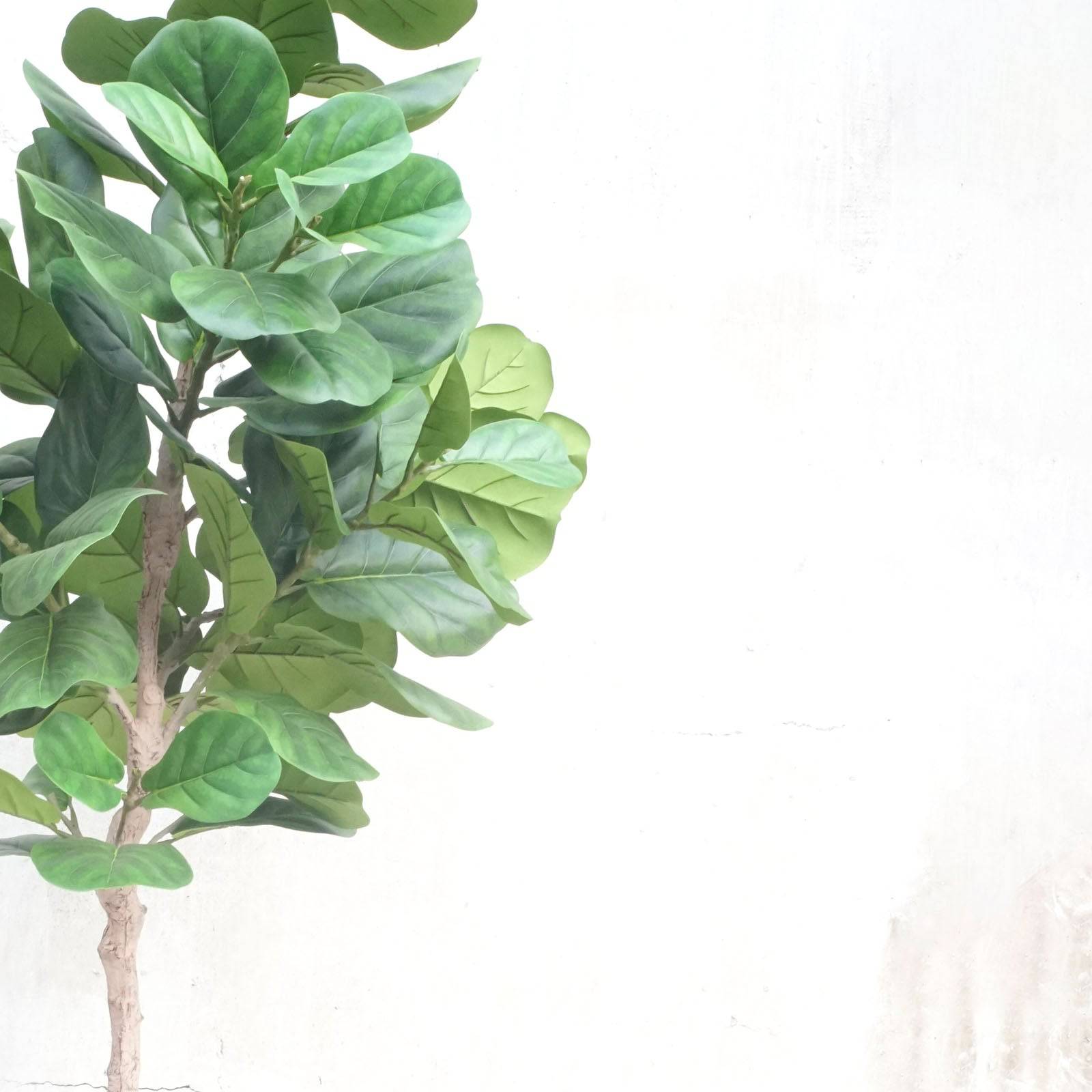 Handmade Decorative Artificial Fiddle Of Fig Tree Fh-04 - Plants - ebarza Furniture UAE | Shop Modern Furniture in Abu Dhabi & Dubai - مفروشات ايبازرا في الامارات | تسوق اثاث عصري وديكورات مميزة في دبي وابوظبي