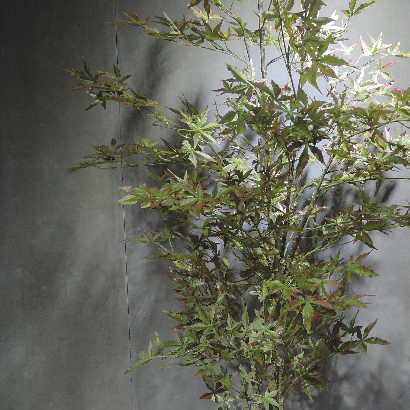 Handmade Decorative Artificial Maple Tree N35120-SM079 - Plants - ebarza Furniture UAE | Shop Modern Furniture in Abu Dhabi & Dubai - مفروشات ايبازرا في الامارات | تسوق اثاث عصري وديكورات مميزة في دبي وابوظبي