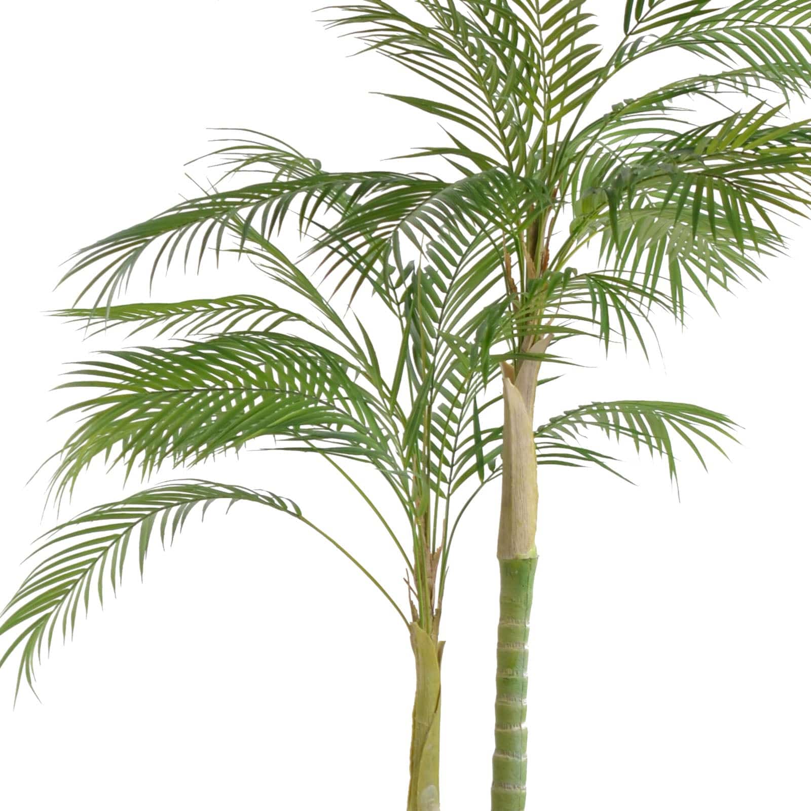 As Is - Handmade Decorative Artificial Palm Tree Dgjht-10001 - DISPLAY ITEM - ebarza Furniture UAE | Shop Modern Furniture in Abu Dhabi & Dubai - مفروشات ايبازرا في الامارات | تسوق اثاث عصري وديكورات مميزة في دبي وابوظبي