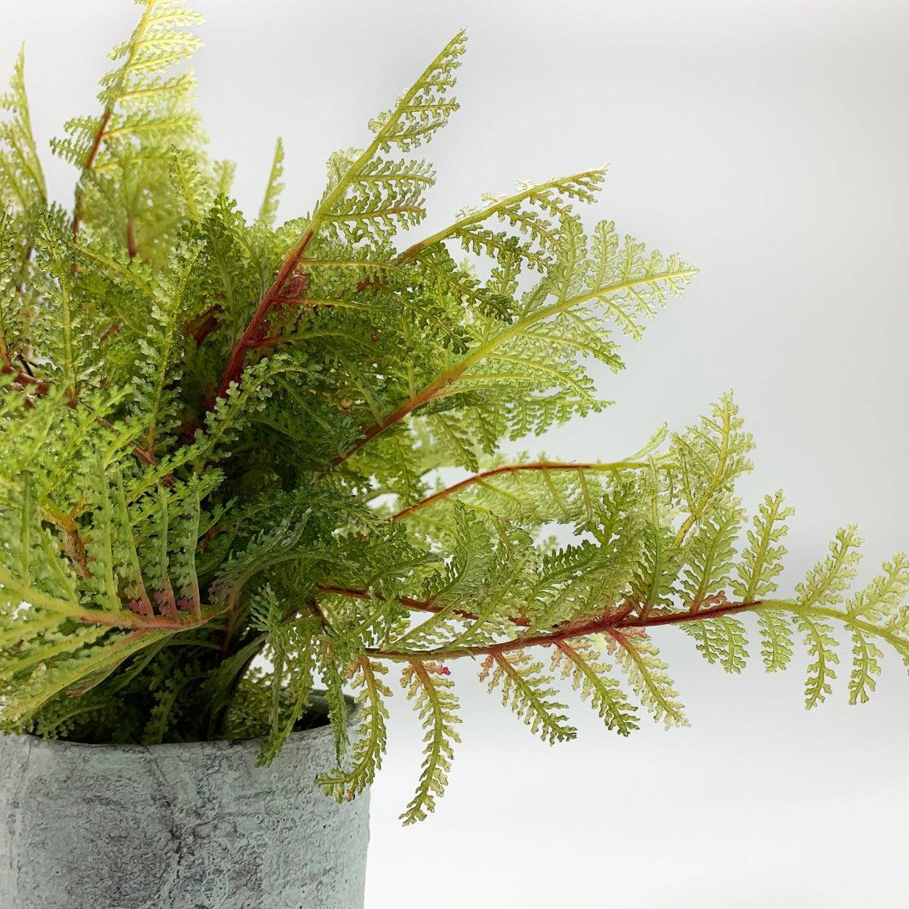 Handmade Decorative Artificial Plant Dgz 002 K32 - Plants - ebarza Furniture UAE | Shop Modern Furniture in Abu Dhabi & Dubai - مفروشات ايبازرا في الامارات | تسوق اثاث عصري وديكورات مميزة في دبي وابوظبي
