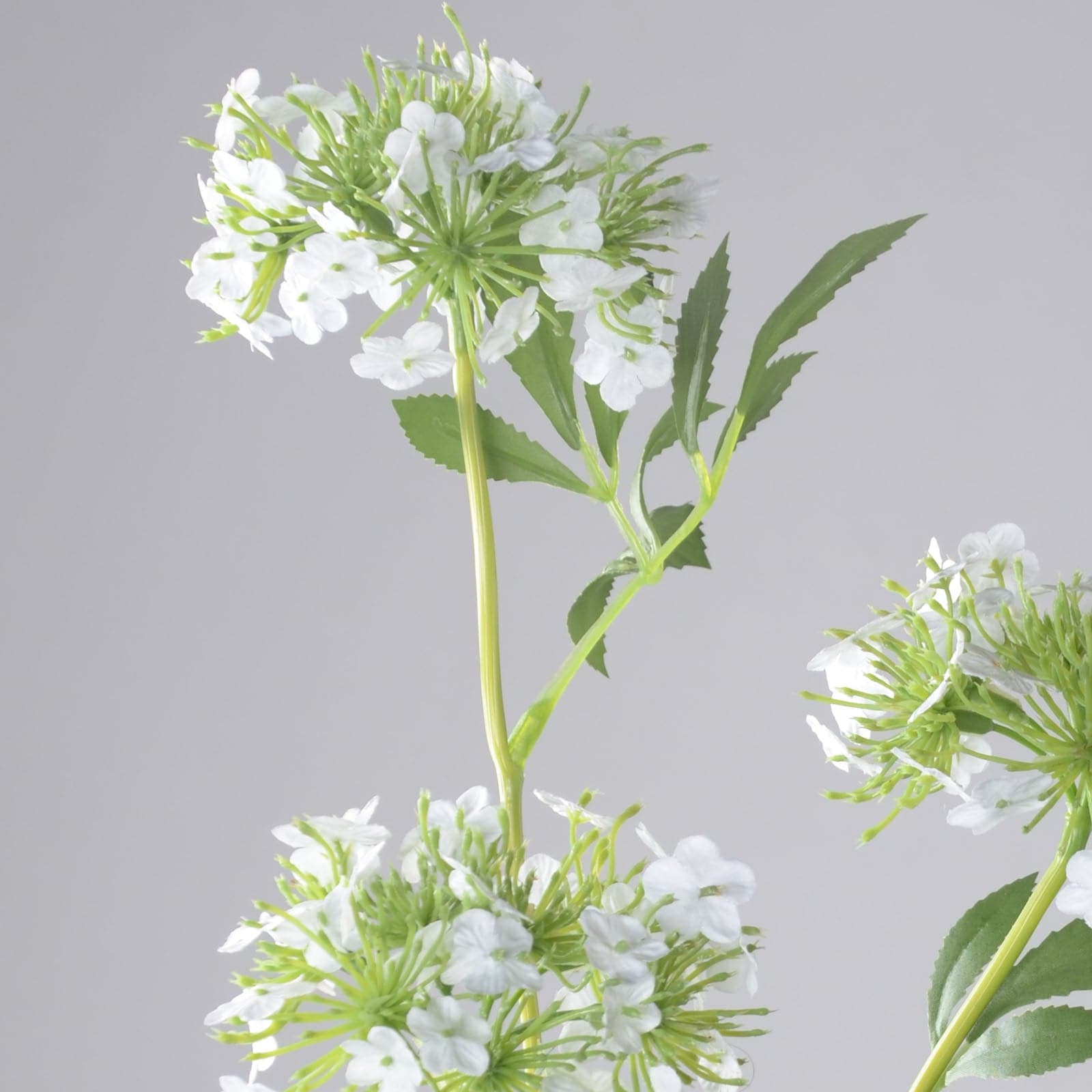 Handmade Decorative Artificial Plant Hyp-Ld1213-Wh - Plants - ebarza Furniture UAE | Shop Modern Furniture in Abu Dhabi & Dubai - مفروشات ايبازرا في الامارات | تسوق اثاث عصري وديكورات مميزة في دبي وابوظبي