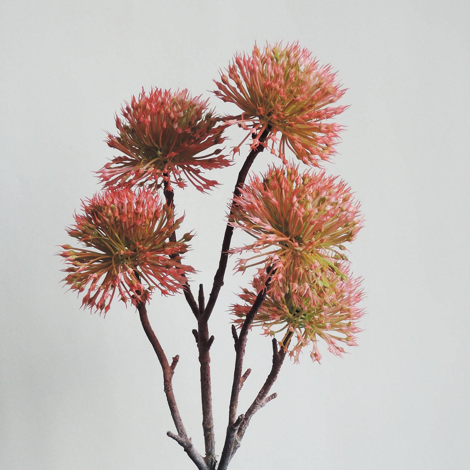 Handmade Decorative Artificial Plant N35520-Sc028-Pk - Plants - ebarza Furniture UAE | Shop Modern Furniture in Abu Dhabi & Dubai - مفروشات ايبازرا في الامارات | تسوق اثاث عصري وديكورات مميزة في دبي وابوظبي