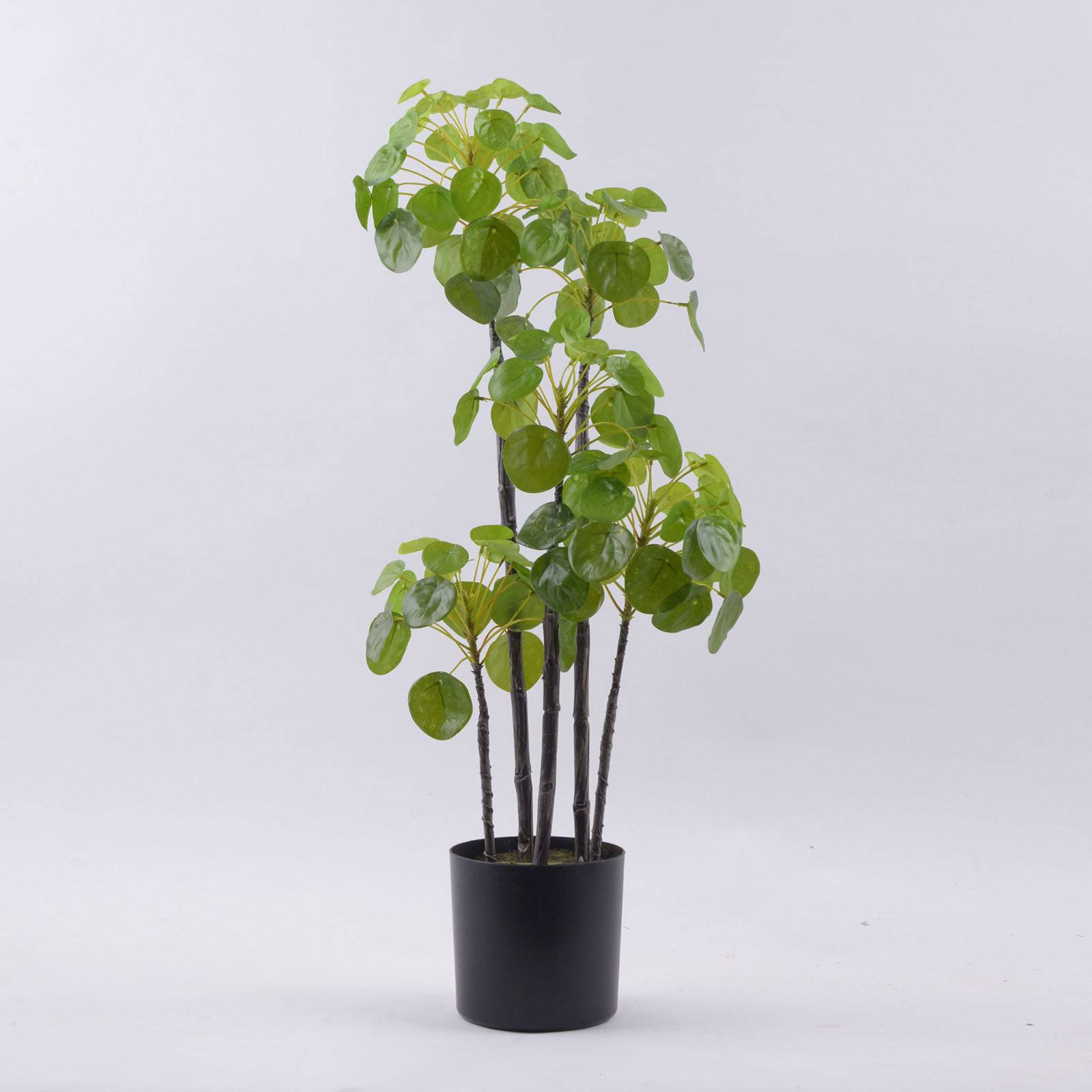 Handmade Decorative Artificial Plant N36020-Pz178 - Plants - ebarza Furniture UAE | Shop Modern Furniture in Abu Dhabi & Dubai - مفروشات ايبازرا في الامارات | تسوق اثاث عصري وديكورات مميزة في دبي وابوظبي