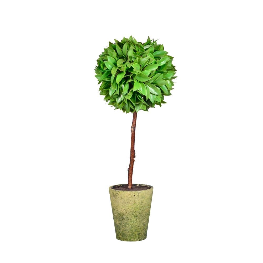 Handmade Decorative Artificial Plant N39120-Pz003 - Plants - ebarza Furniture UAE | Shop Modern Furniture in Abu Dhabi & Dubai - مفروشات ايبازرا في الامارات | تسوق اثاث عصري وديكورات مميزة في دبي وابوظبي