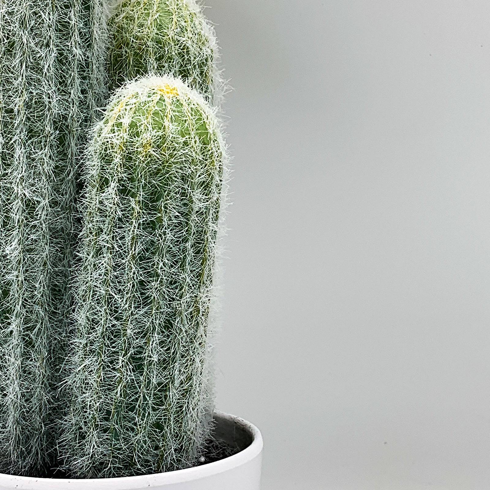 Handmade Decorative Artificial Plant+Planter Pot P01908 - Planter Boxes - ebarza Furniture UAE | Shop Modern Furniture in Abu Dhabi & Dubai - مفروشات ايبازرا في الامارات | تسوق اثاث عصري وديكورات مميزة في دبي وابوظبي