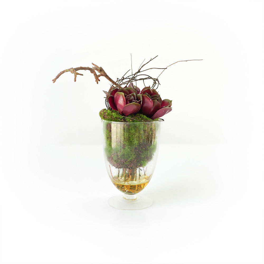 Handmade Decorative Artificial Plant Potted Succulent with Grass N36520-PZ040 - Plants - ebarza Furniture UAE | Shop Modern Furniture in Abu Dhabi & Dubai - مفروشات ايبازرا في الامارات | تسوق اثاث عصري وديكورات مميزة في دبي وابوظبي