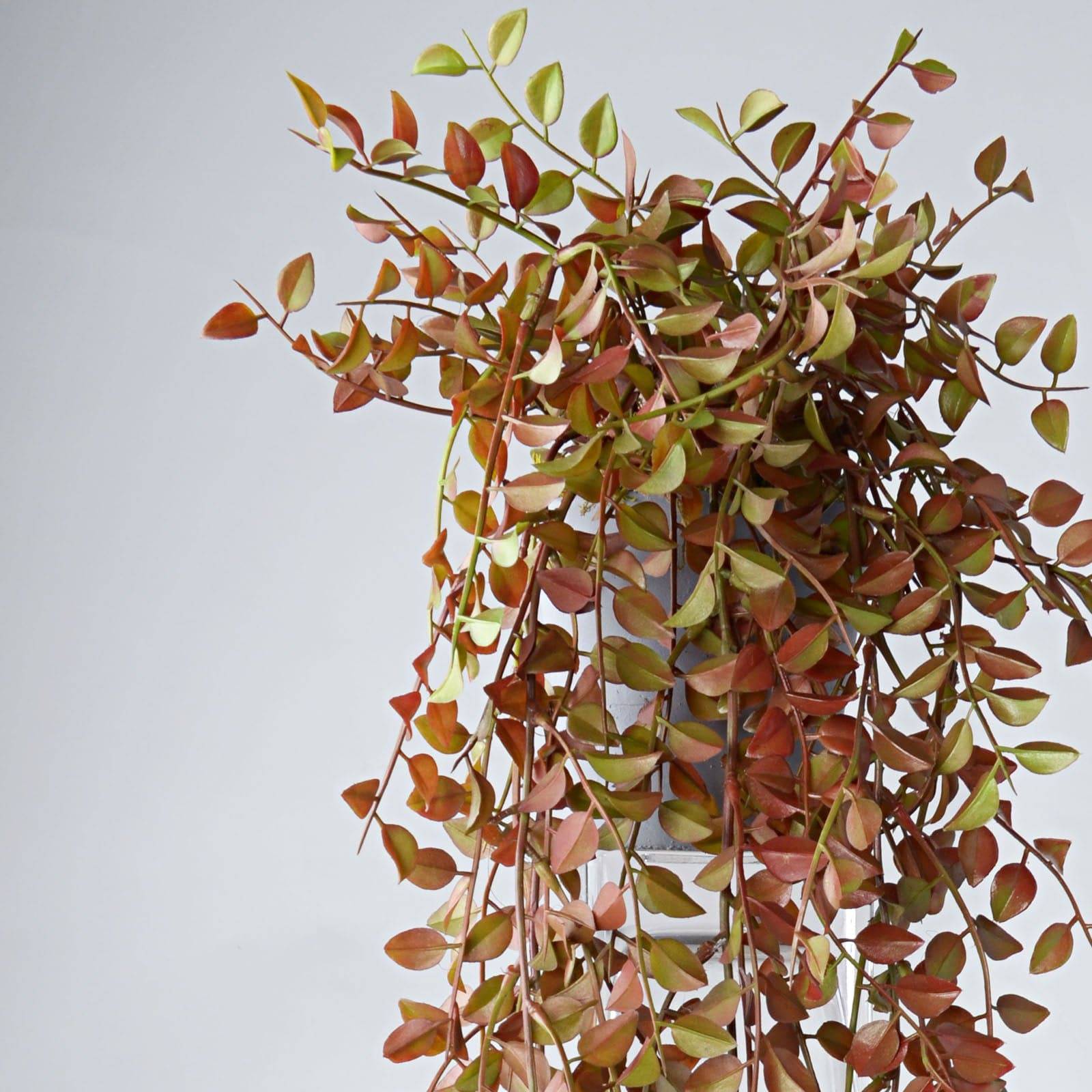 Handmade Decorative Artificial Plant Sh16-025 - Plants - ebarza Furniture UAE | Shop Modern Furniture in Abu Dhabi & Dubai - مفروشات ايبازرا في الامارات | تسوق اثاث عصري وديكورات مميزة في دبي وابوظبي