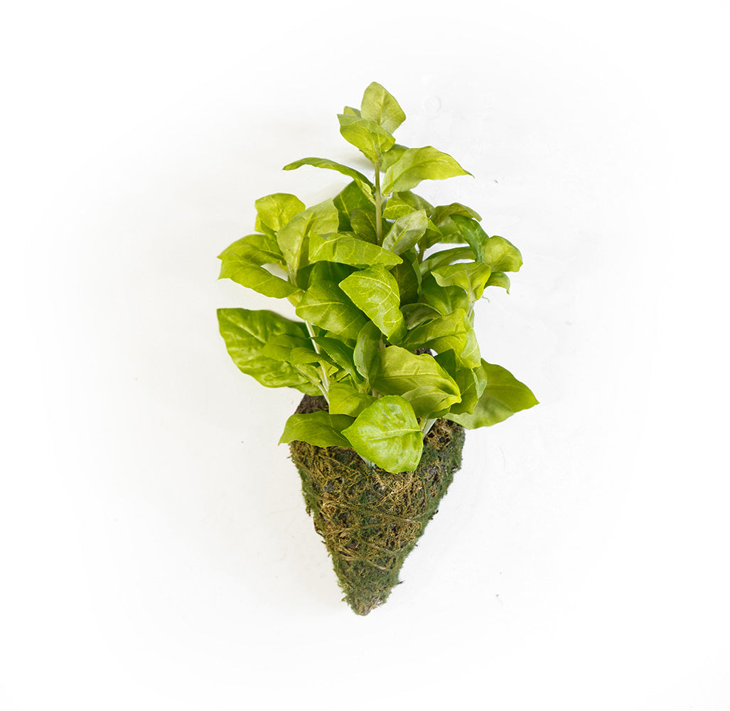 Handmade Decorative Artificial Plant Wall N36020-XG173 - Plants - ebarza Furniture UAE | Shop Modern Furniture in Abu Dhabi & Dubai - مفروشات ايبازرا في الامارات | تسوق اثاث عصري وديكورات مميزة في دبي وابوظبي