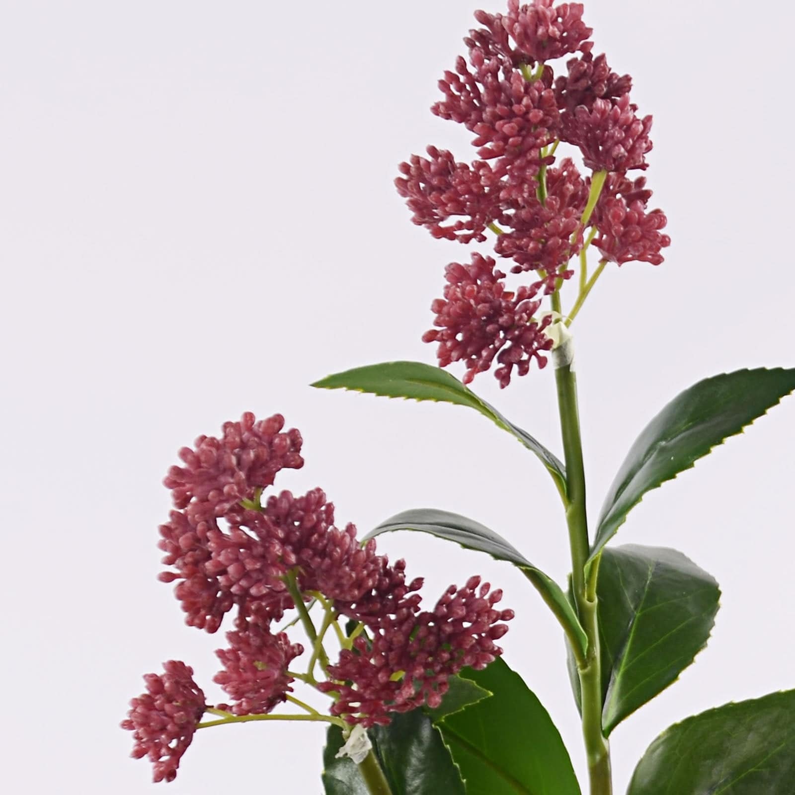Handmade Decorative Artificial Plant Xmxjp-Xf018000-Re - Plants - ebarza Furniture UAE | Shop Modern Furniture in Abu Dhabi & Dubai - مفروشات ايبازرا في الامارات | تسوق اثاث عصري وديكورات مميزة في دبي وابوظبي