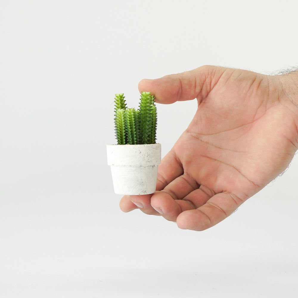 Handmade Decorative Artificial Potted Cactus N35020-SM157 - Plants - ebarza Furniture UAE | Shop Modern Furniture in Abu Dhabi & Dubai - مفروشات ايبازرا في الامارات | تسوق اثاث عصري وديكورات مميزة في دبي وابوظبي