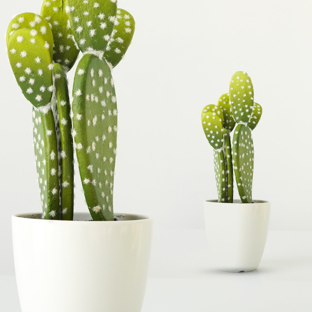 Handmade Decorative Artificial Potted Cactus N38120-PZ003 - Plants - ebarza Furniture UAE | Shop Modern Furniture in Abu Dhabi & Dubai - مفروشات ايبازرا في الامارات | تسوق اثاث عصري وديكورات مميزة في دبي وابوظبي