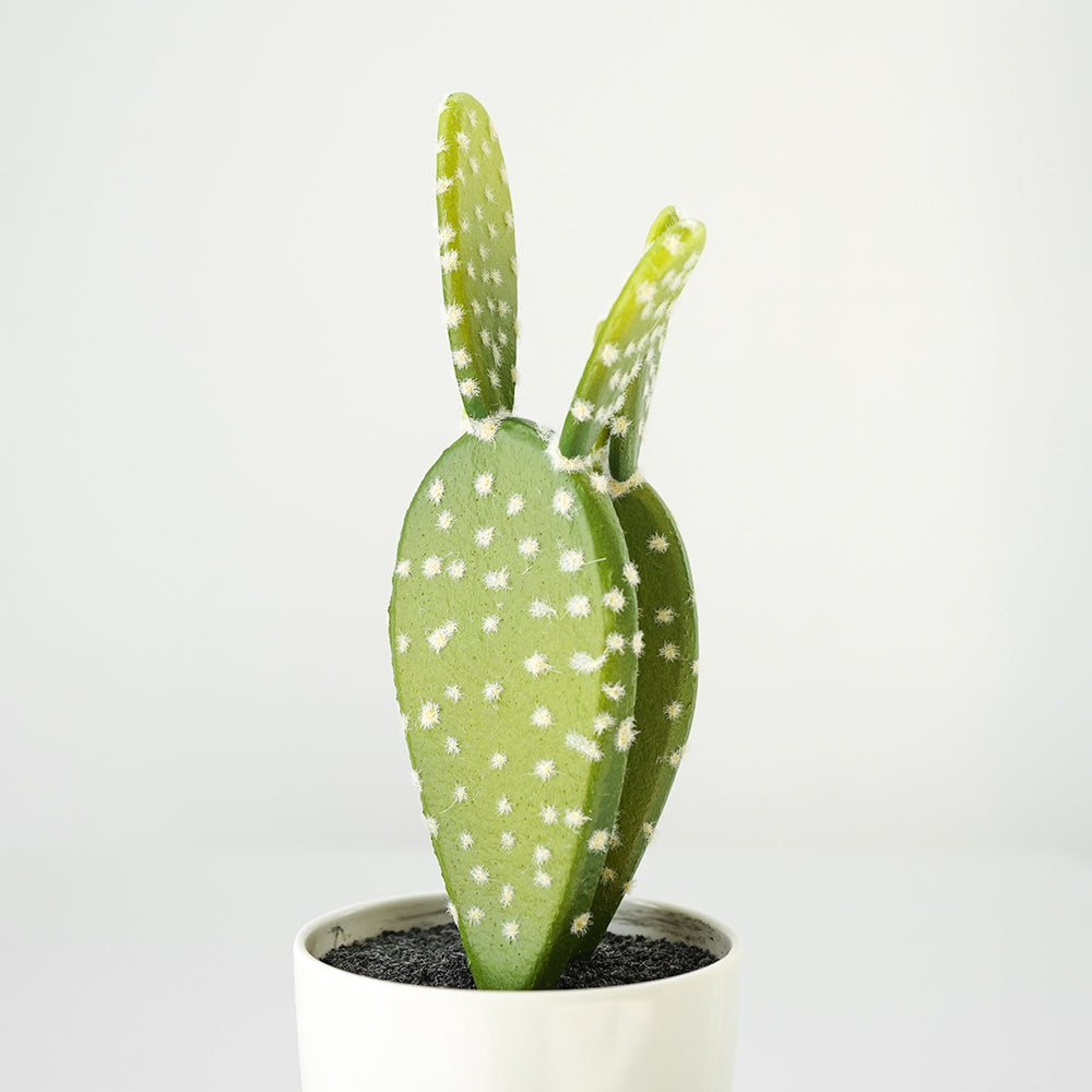 Handmade Decorative Artificial Potted Cactus N38120-PZ003 - Plants - ebarza Furniture UAE | Shop Modern Furniture in Abu Dhabi & Dubai - مفروشات ايبازرا في الامارات | تسوق اثاث عصري وديكورات مميزة في دبي وابوظبي