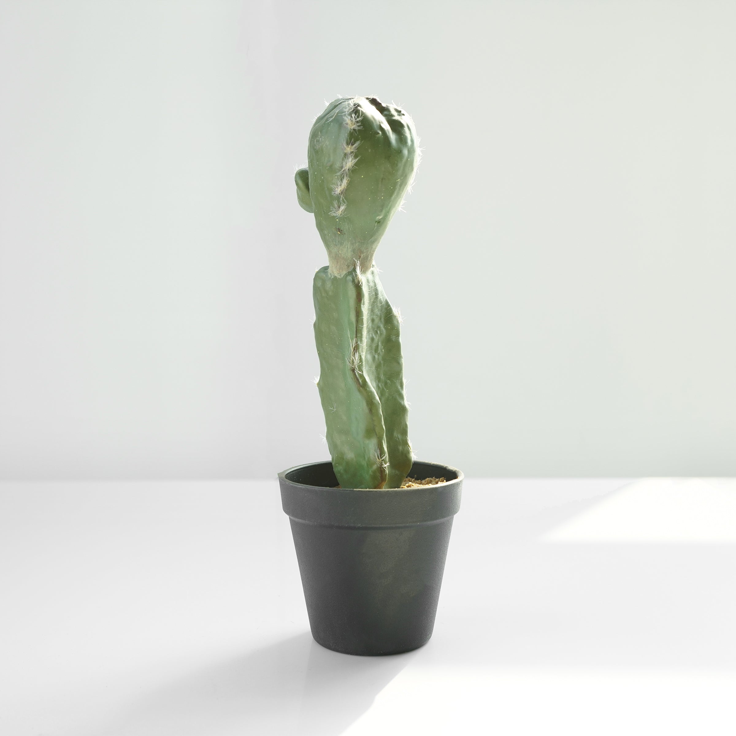Handmade Decorative Artificial Potted Cactus PR00015C - Plants - ebarza Furniture UAE | Shop Modern Furniture in Abu Dhabi & Dubai - مفروشات ايبازرا في الامارات | تسوق اثاث عصري وديكورات مميزة في دبي وابوظبي