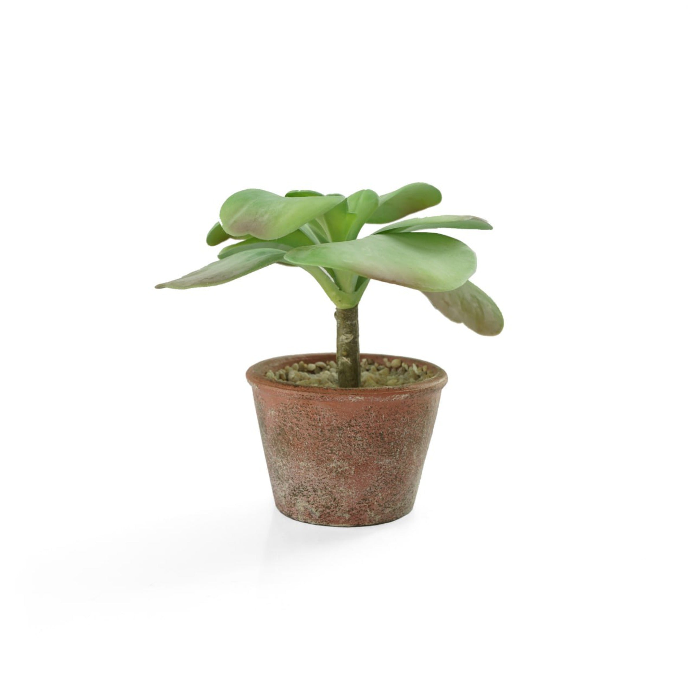 Handmade Decorative Artificial Potted Plants N35020-PZ126 - Plants - ebarza Furniture UAE | Shop Modern Furniture in Abu Dhabi & Dubai - مفروشات ايبازرا في الامارات | تسوق اثاث عصري وديكورات مميزة في دبي وابوظبي