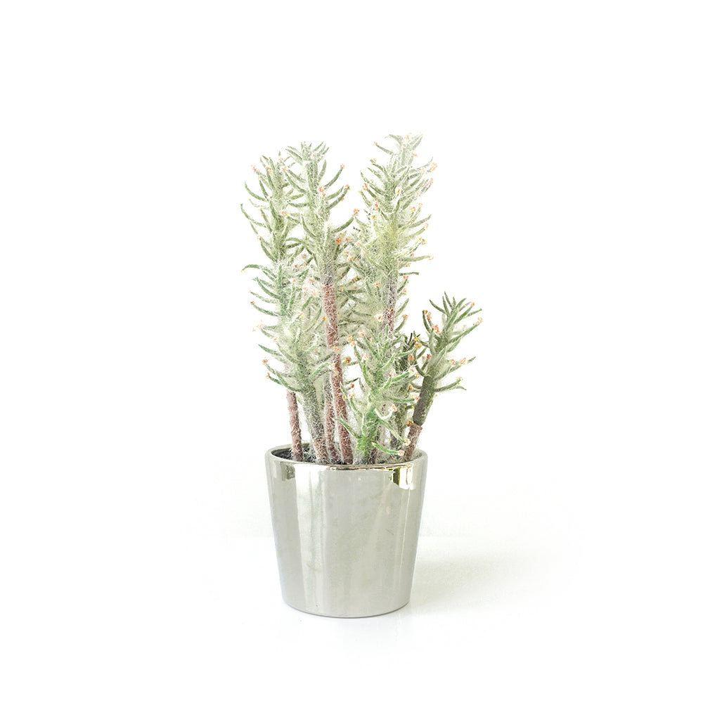 Handmade Decorative Artificial Potted Plants N35020-PZ170 - Plants - ebarza Furniture UAE | Shop Modern Furniture in Abu Dhabi & Dubai - مفروشات ايبازرا في الامارات | تسوق اثاث عصري وديكورات مميزة في دبي وابوظبي