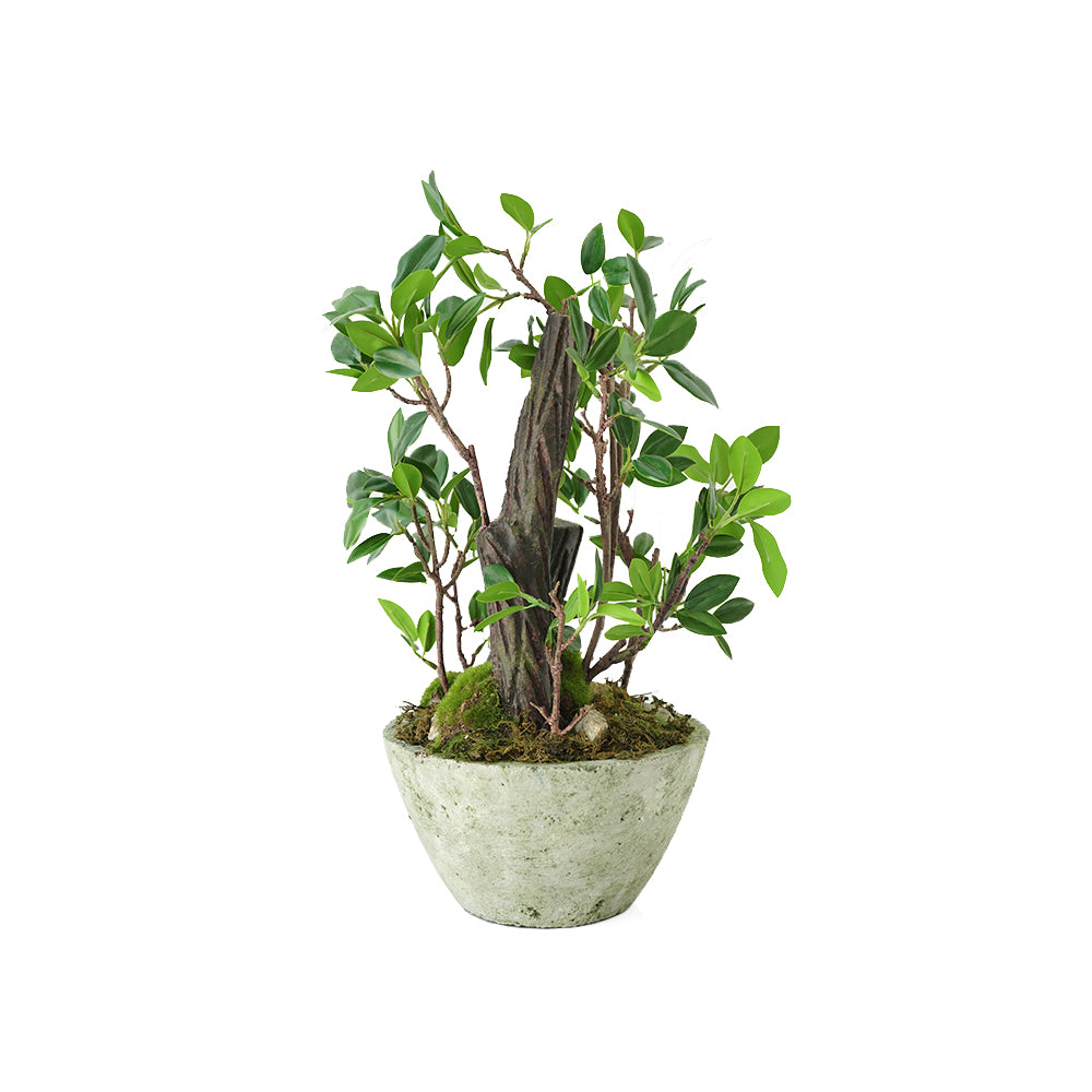Handmade Decorative Artificial Potted Plants N36520-PZ028 - Plants - ebarza Furniture UAE | Shop Modern Furniture in Abu Dhabi & Dubai - مفروشات ايبازرا في الامارات | تسوق اثاث عصري وديكورات مميزة في دبي وابوظبي