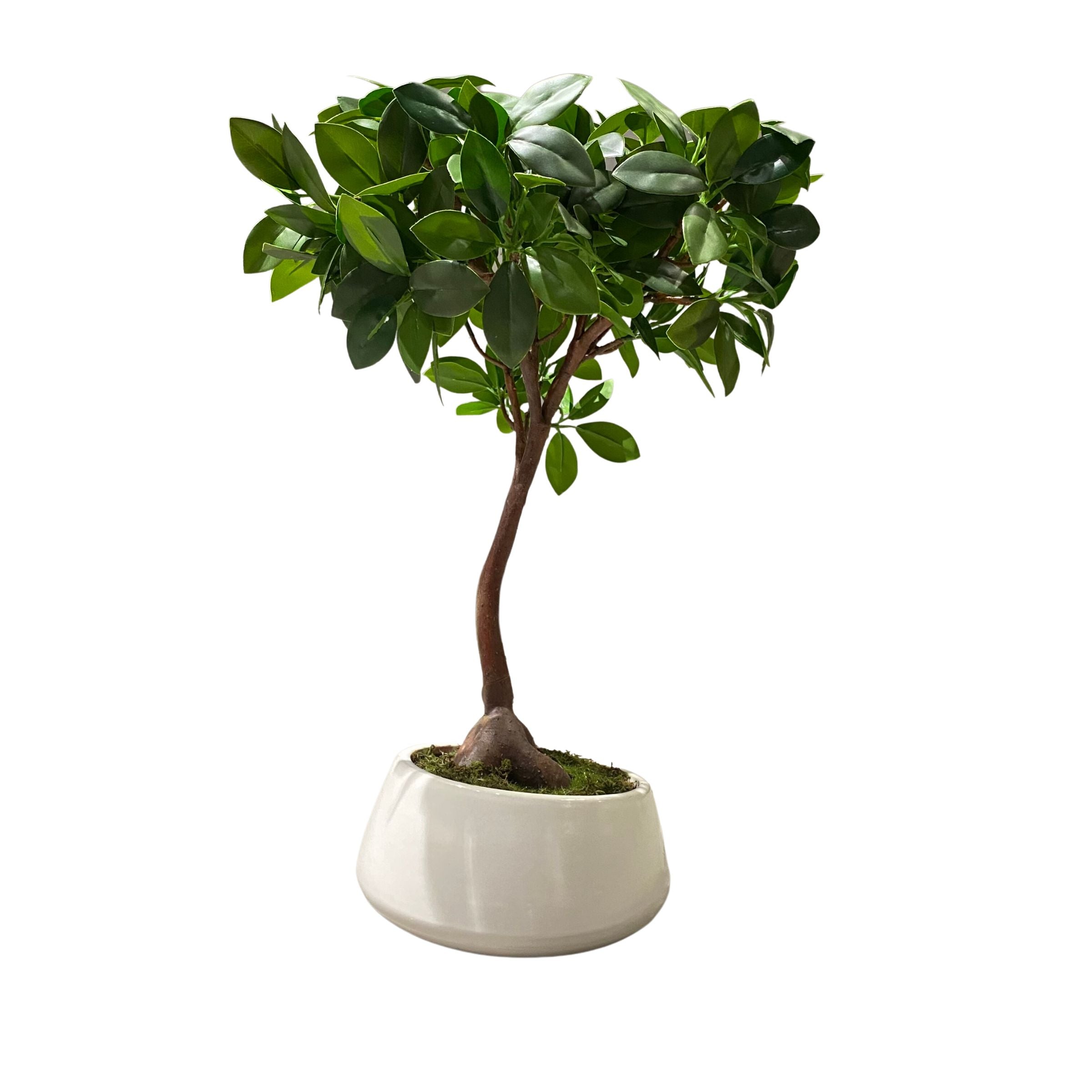 Handmade Decorative Artificial Potted Plants N36520-PZ055 - Plants - ebarza Furniture UAE | Shop Modern Furniture in Abu Dhabi & Dubai - مفروشات ايبازرا في الامارات | تسوق اثاث عصري وديكورات مميزة في دبي وابوظبي