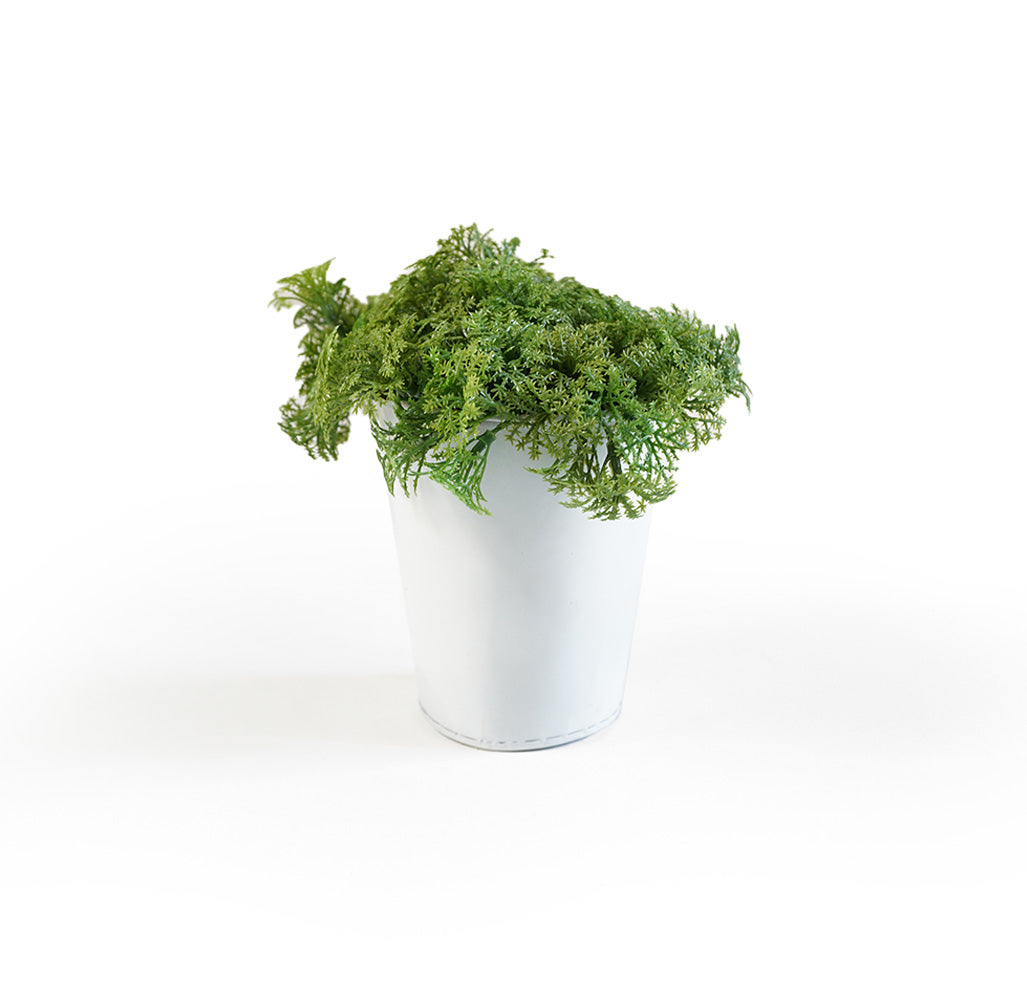 Handmade Decorative Artificial Potted Plants With Grass N39120-PZ009 - Plants - ebarza Furniture UAE | Shop Modern Furniture in Abu Dhabi & Dubai - مفروشات ايبازرا في الامارات | تسوق اثاث عصري وديكورات مميزة في دبي وابوظبي