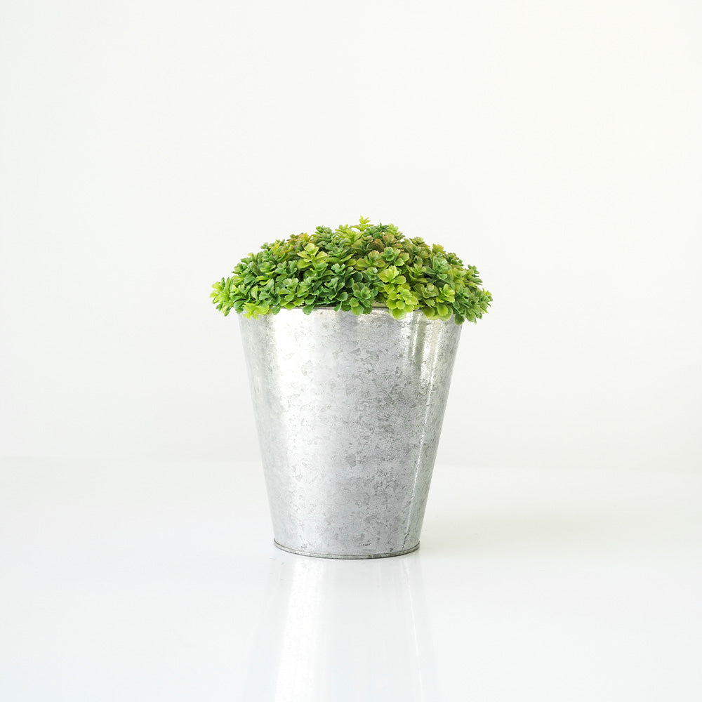 Handmade Decorative Artificial Potted Plants With Grass N39120-PZ011 - Plants - ebarza Furniture UAE | Shop Modern Furniture in Abu Dhabi & Dubai - مفروشات ايبازرا في الامارات | تسوق اثاث عصري وديكورات مميزة في دبي وابوظبي